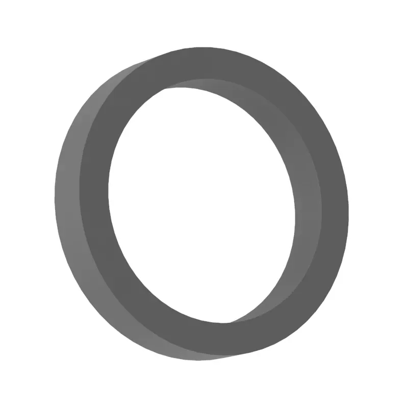 O-Ring