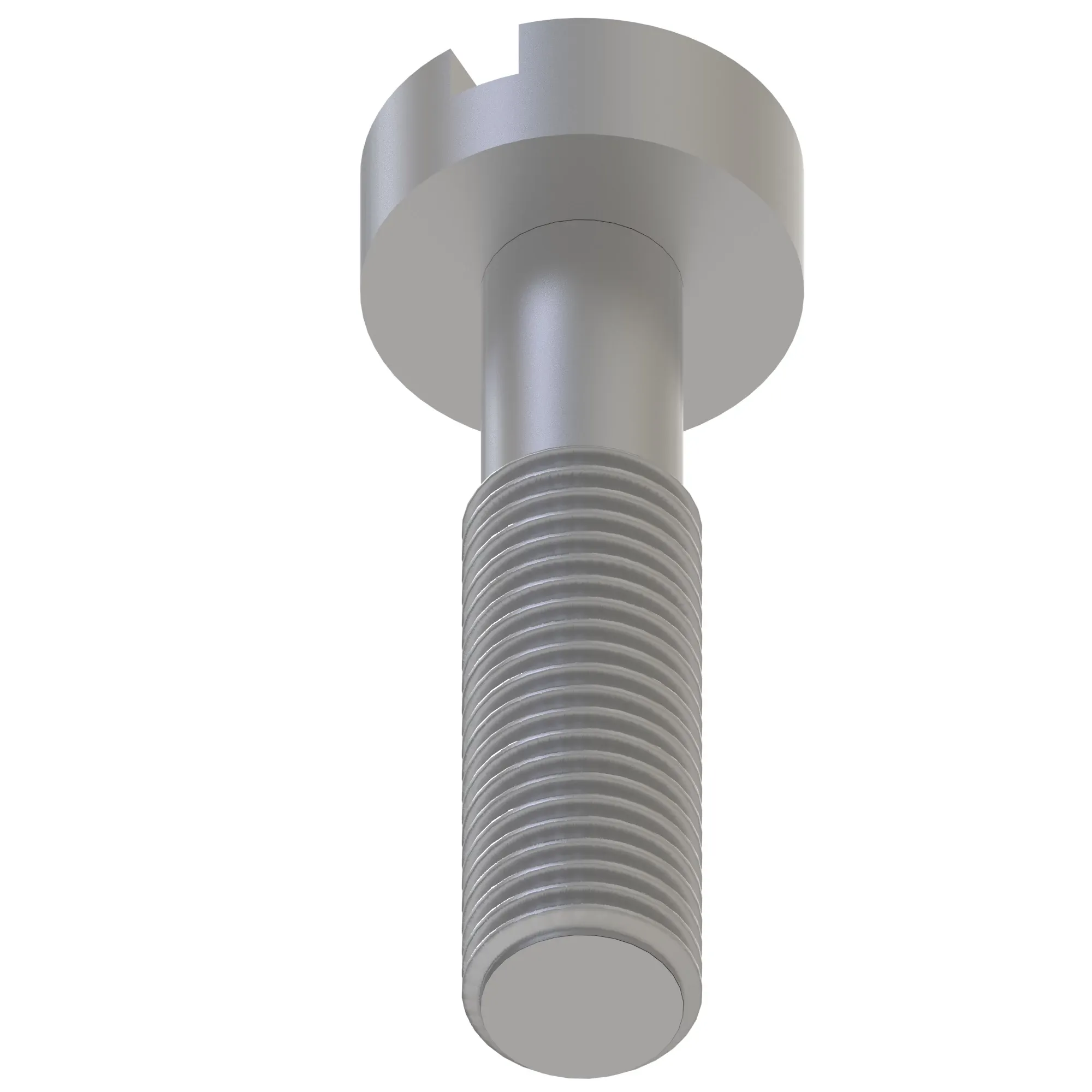 Screw