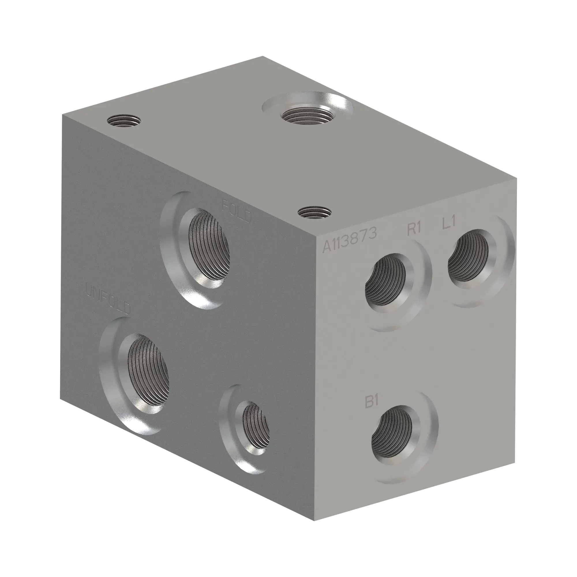 Manifold
