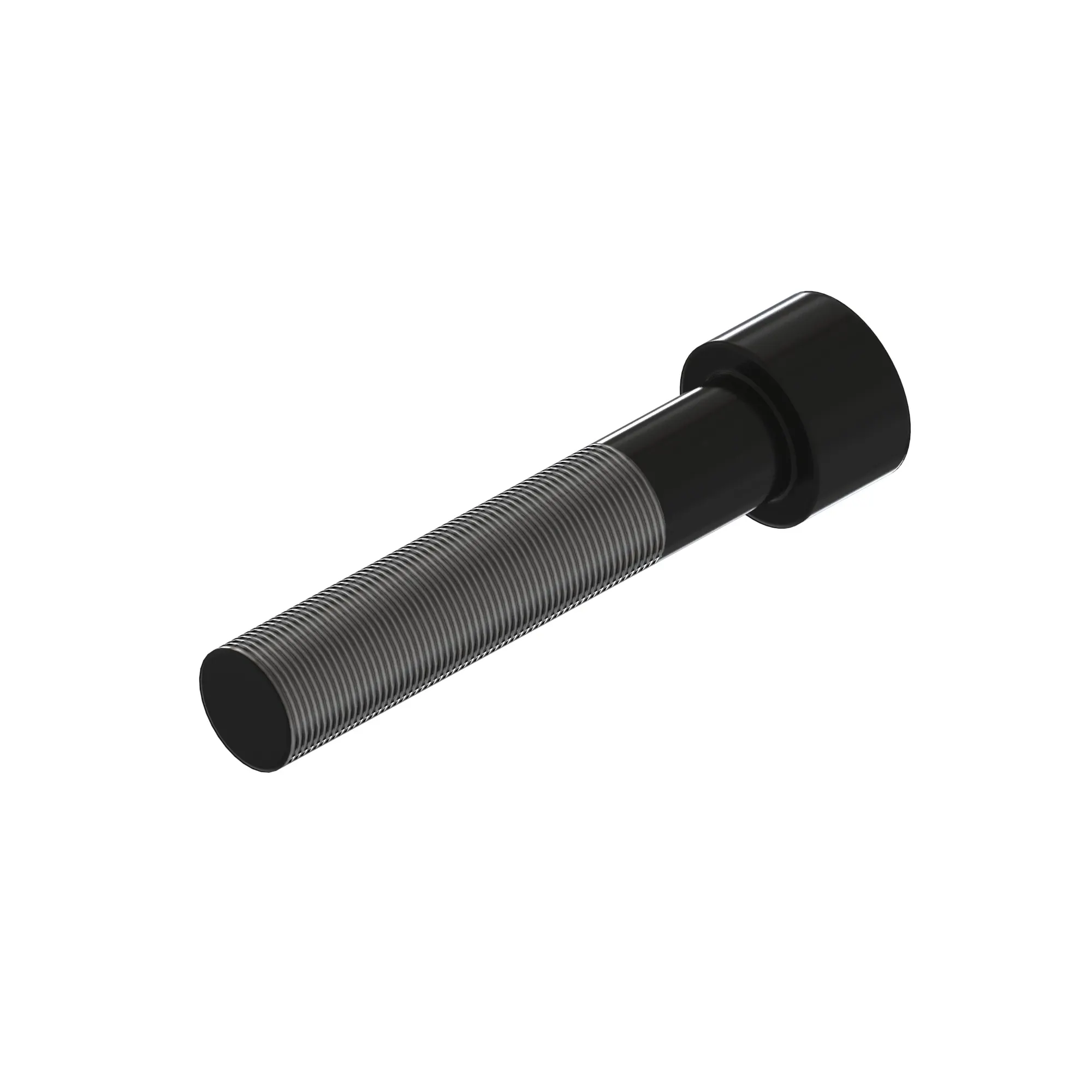 Socket Head Screw