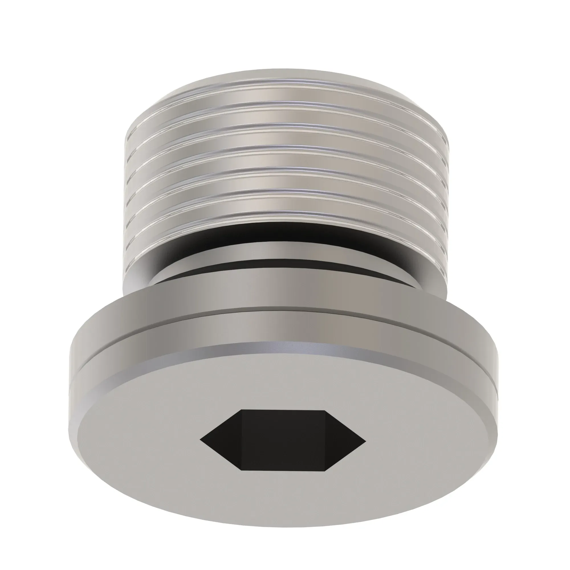 Fitting Plug