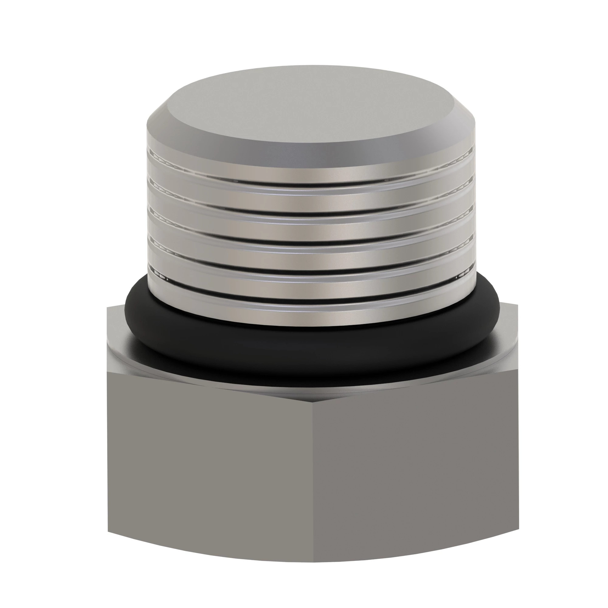 FITTING PLUG