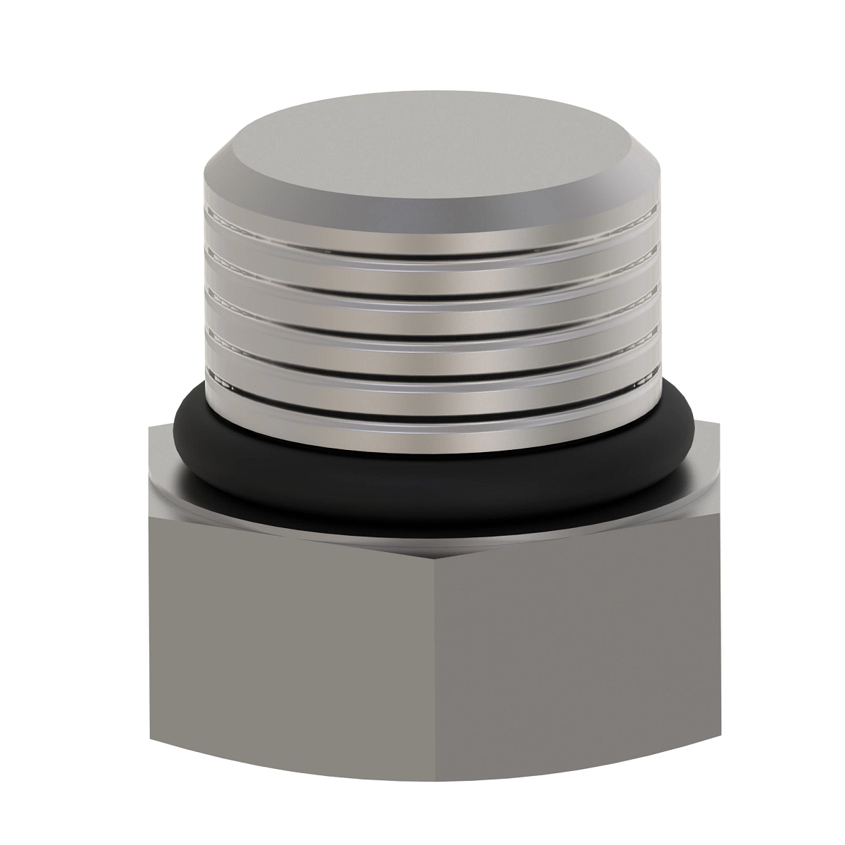 Fitting Plug