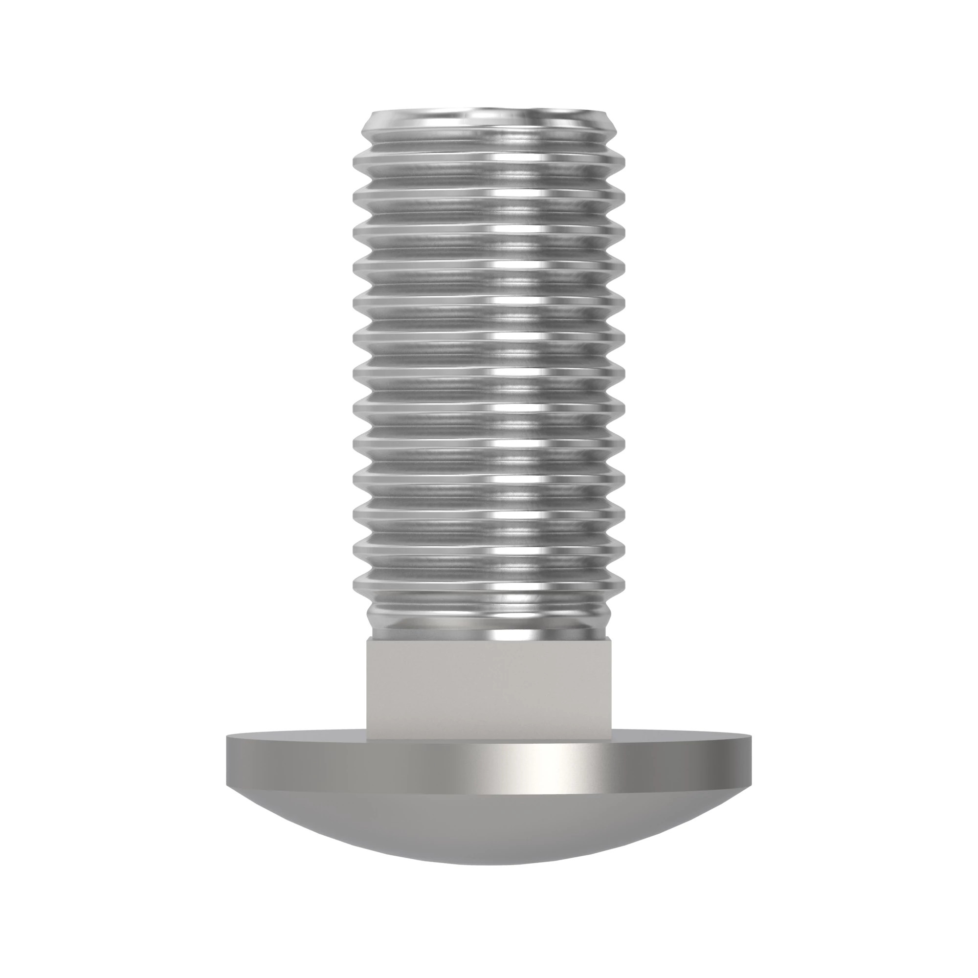 BOLT (CARRIAGE LONG NECK 12X50MM)