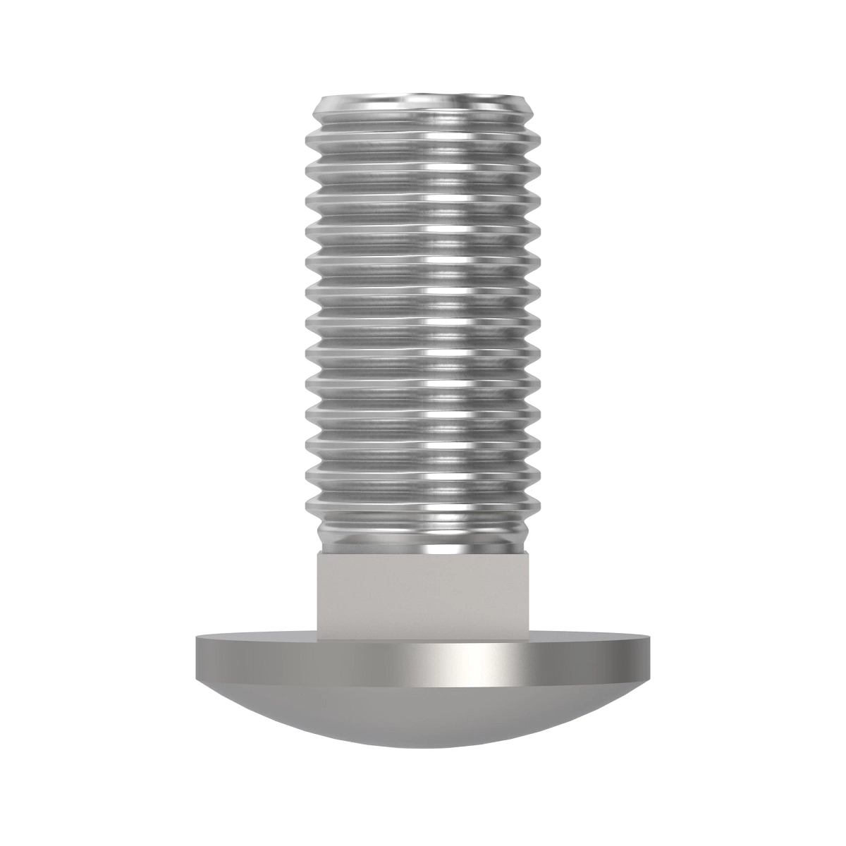 Bolt (Carriage Long Neck 12X50MM)