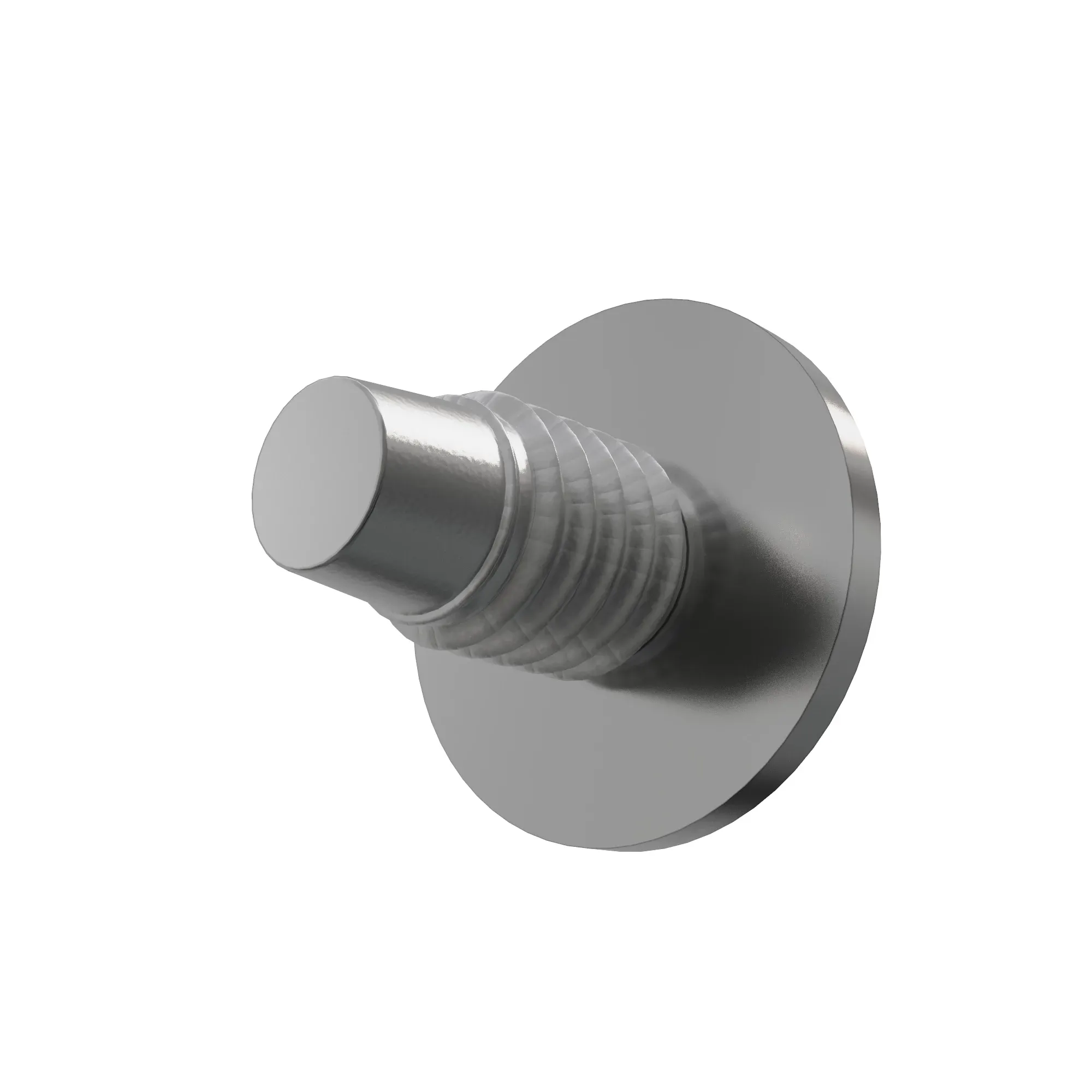 SCREW WITH WASHER