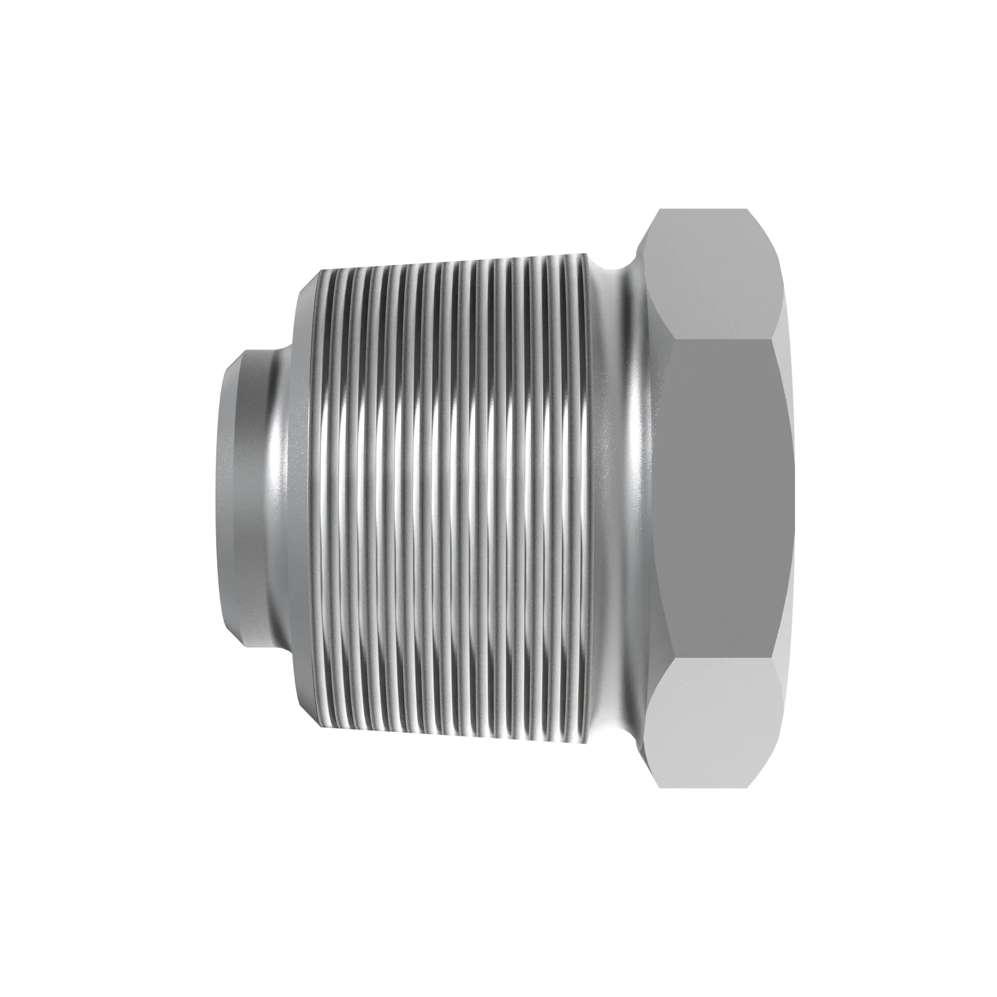 Pipe Plug