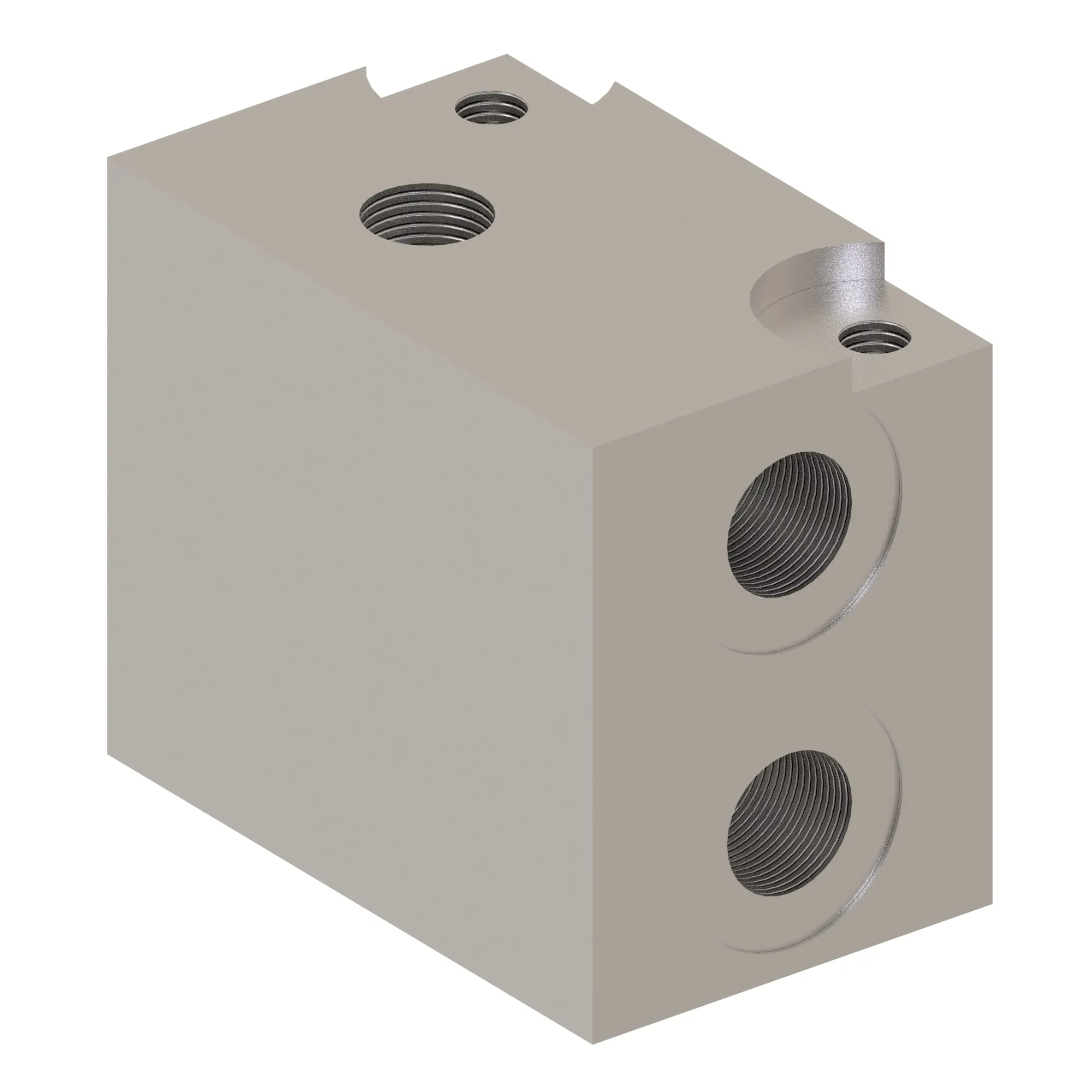 Manifold