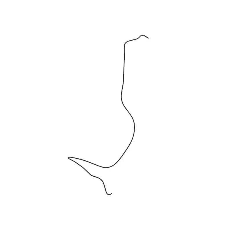 Hose