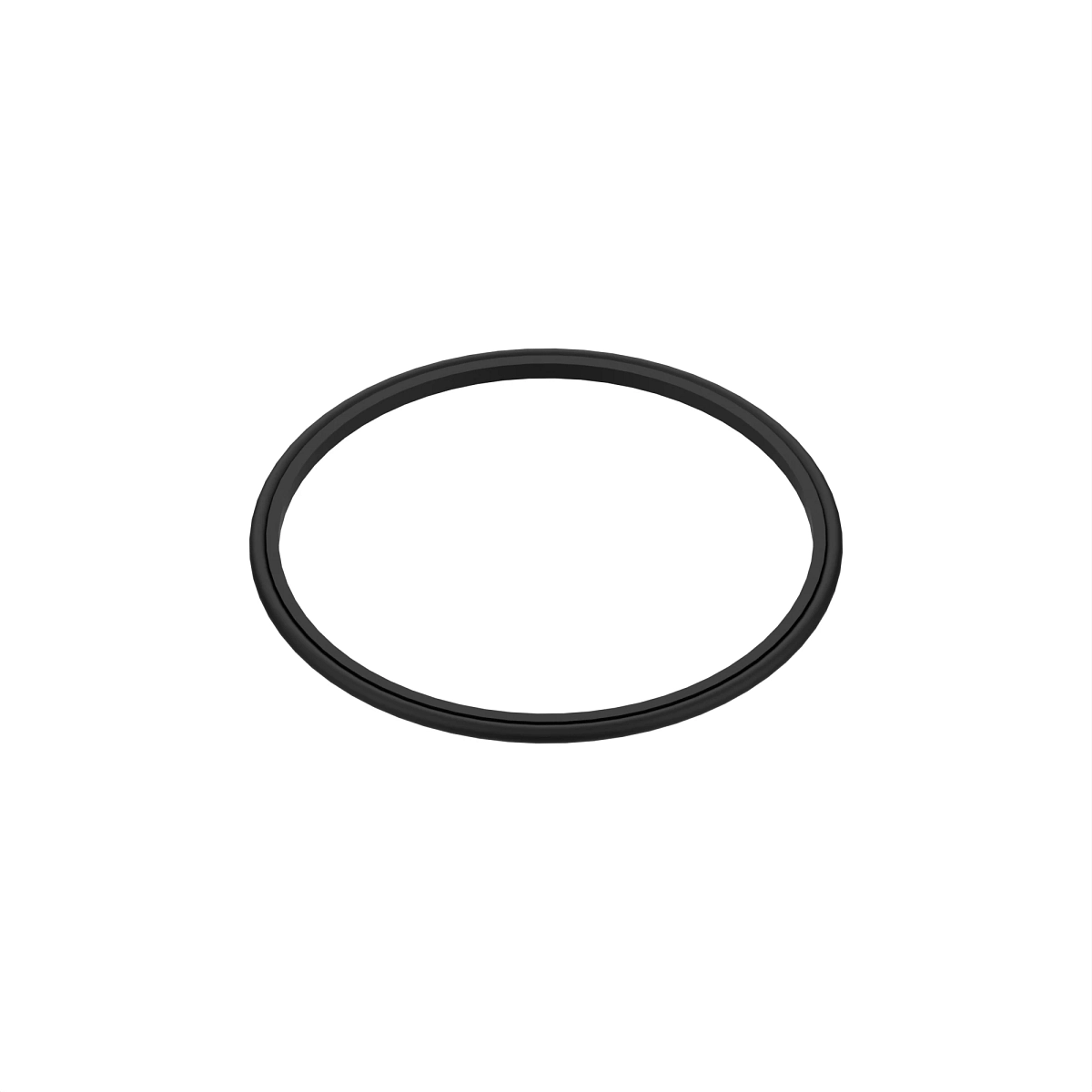 Piston Ring With O-Ring