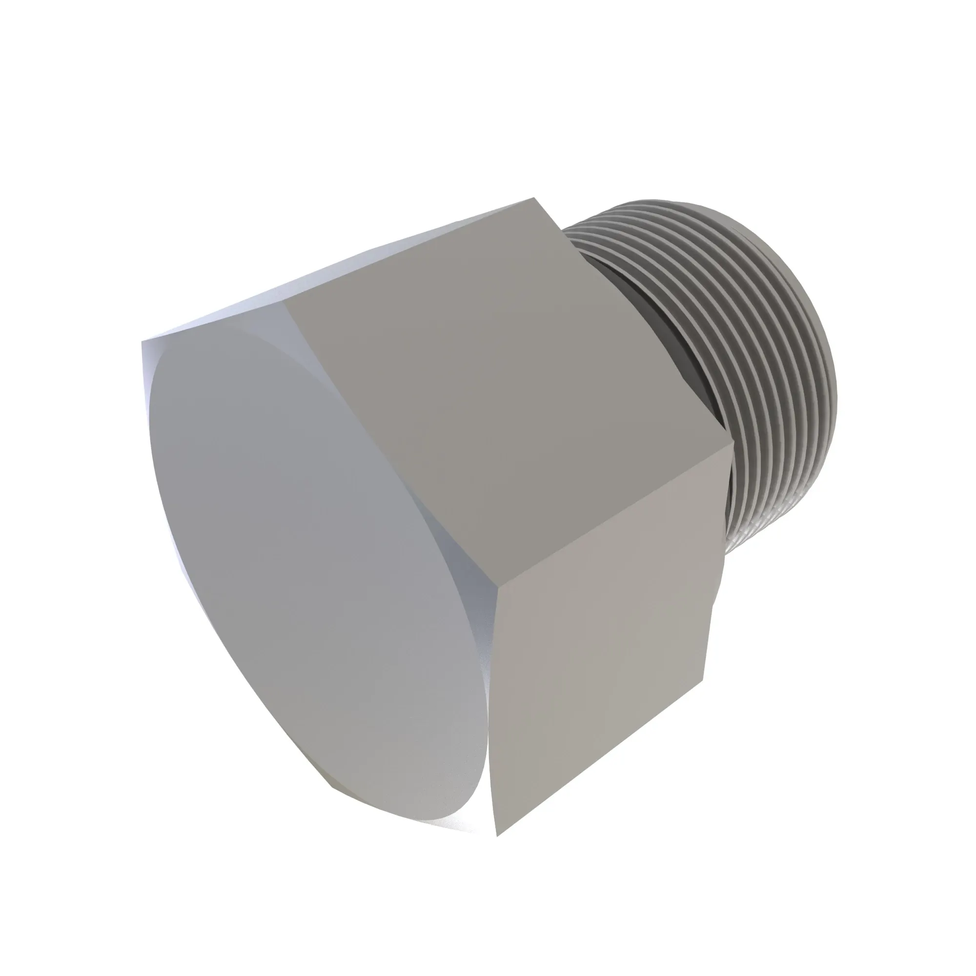 Fitting Plug