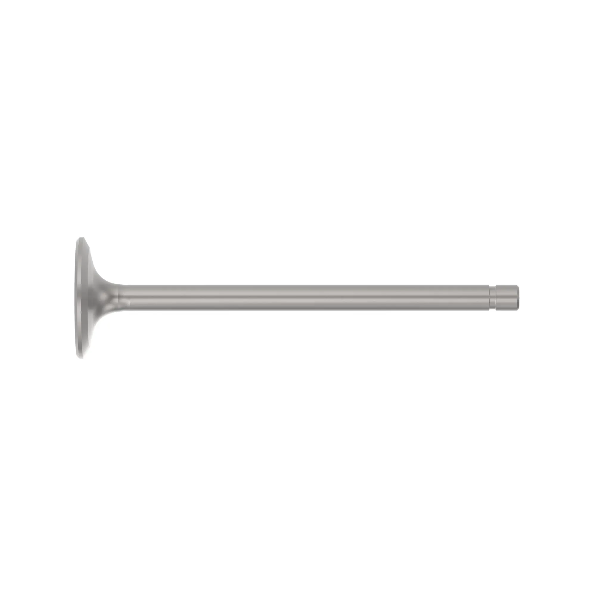 Exhaust Valve