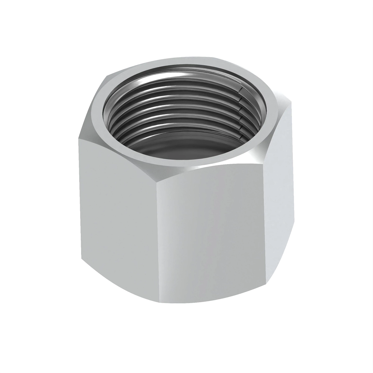 Cap Assembly, (Cp) O-Ring FSF