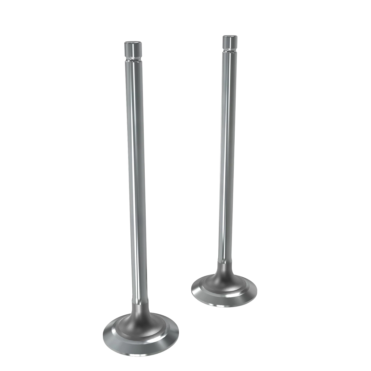 Valve Kit, Exhaust