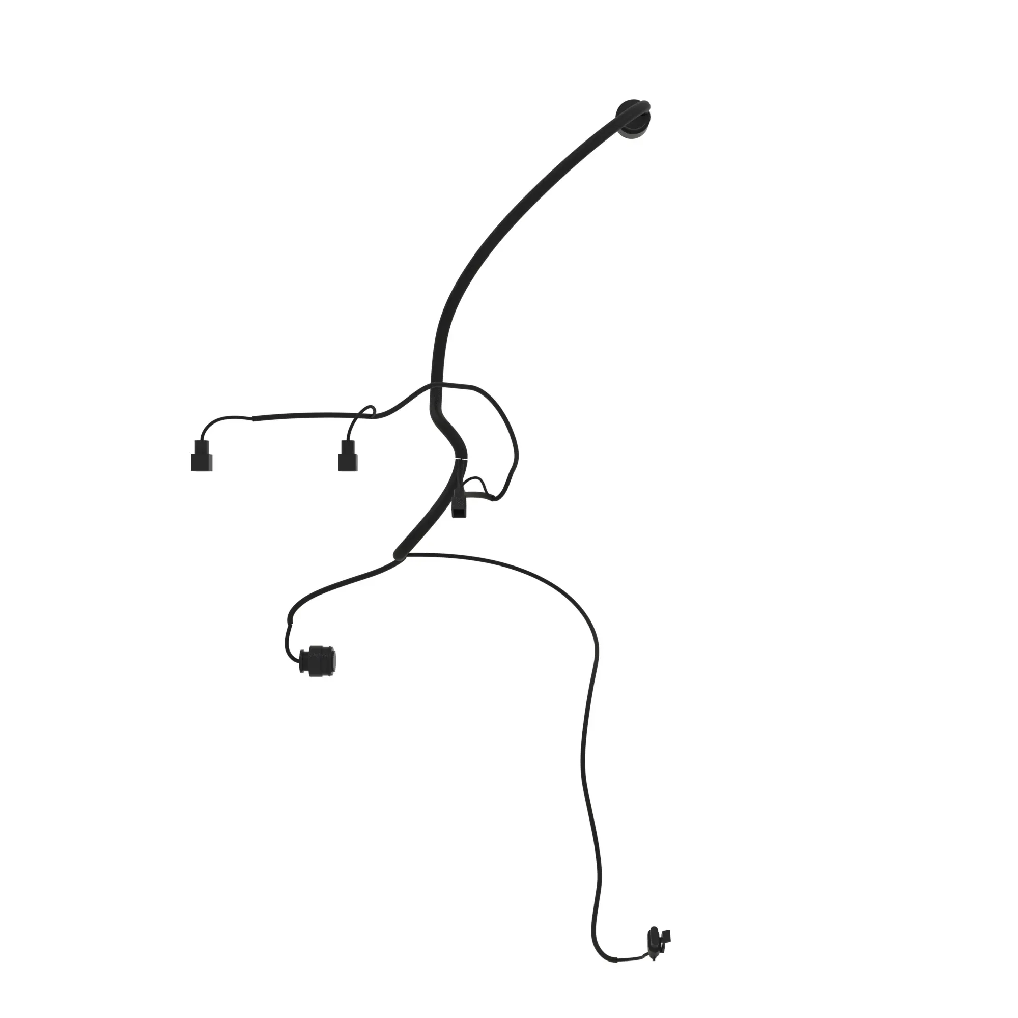 HARNESS, TRANS