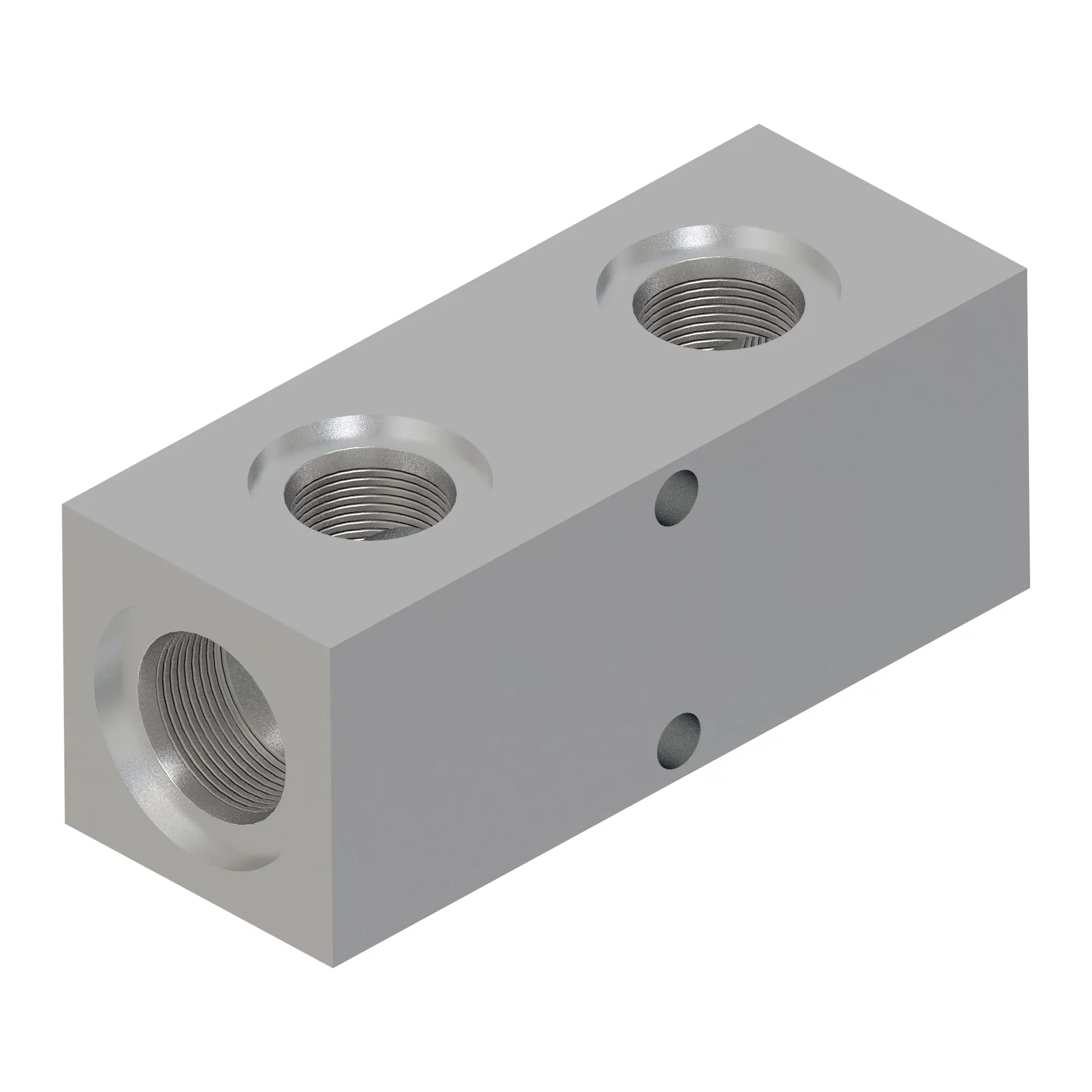 Manifold
