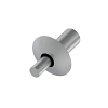 Rivet