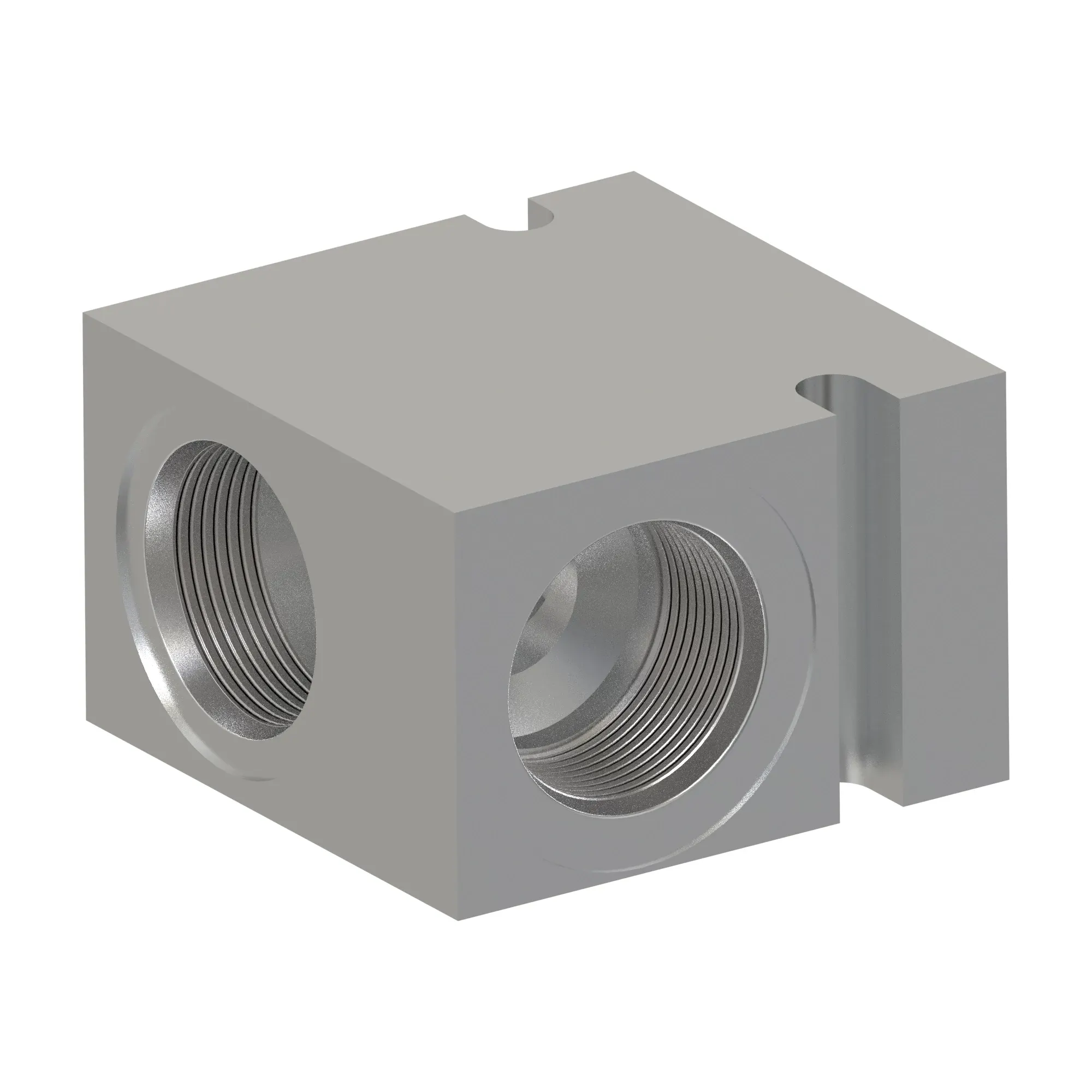 Manifold