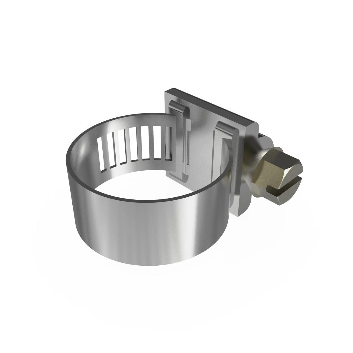Hose Clamp