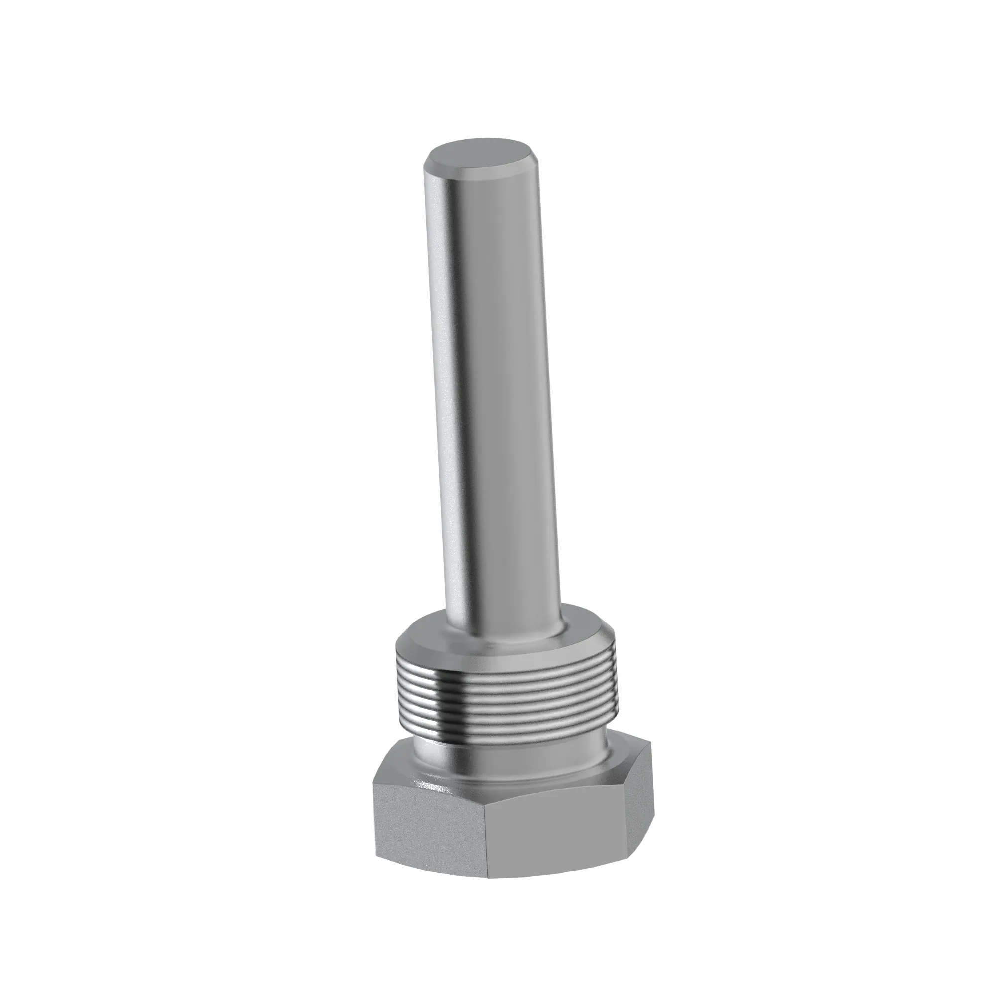 Fitting Plug