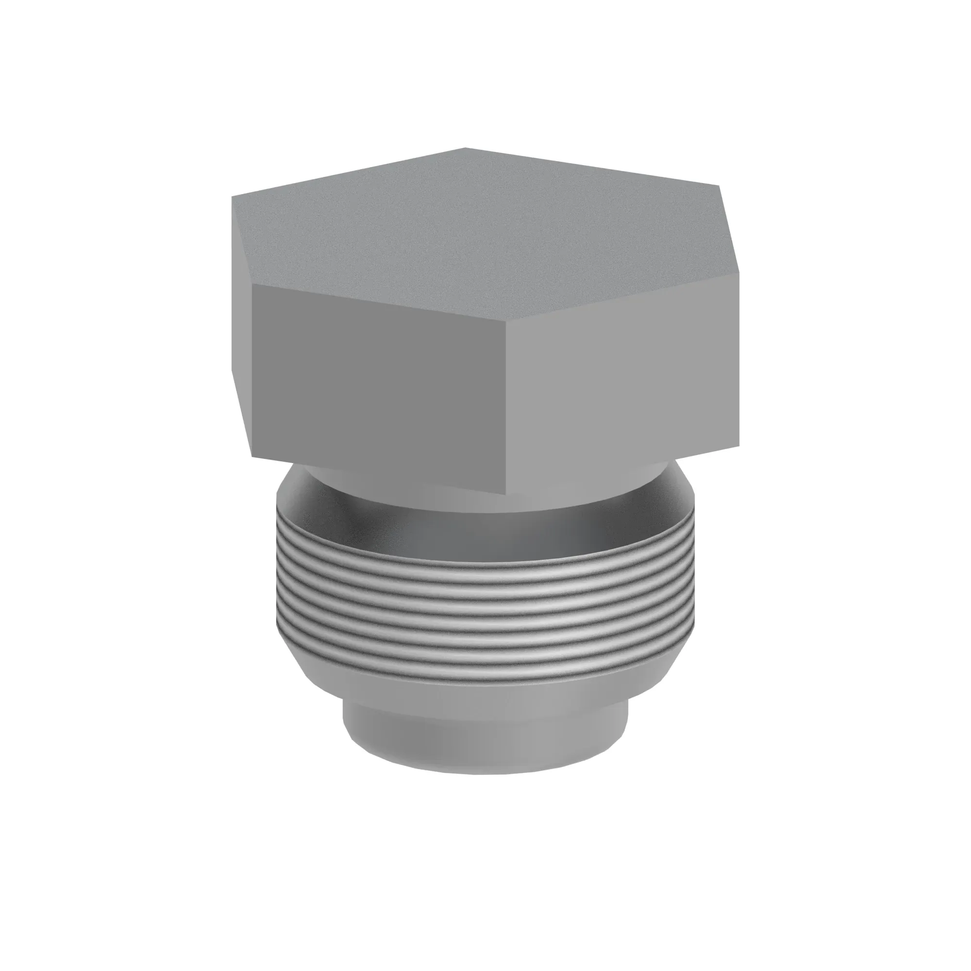 Fitting Plug