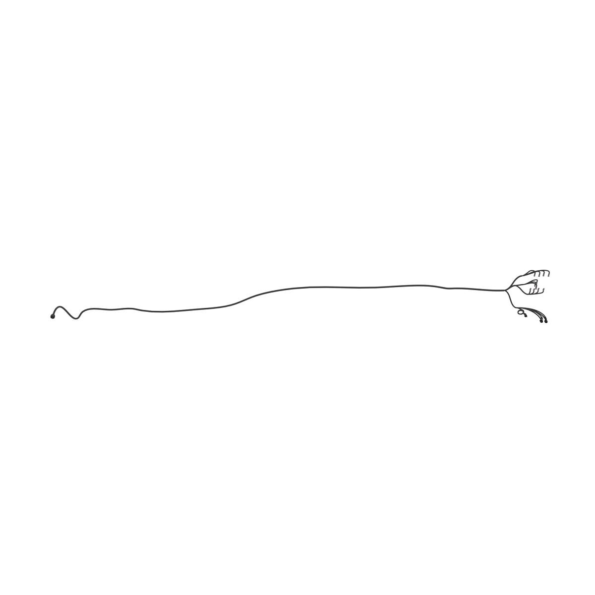 Wiring Harness, Frame Rear Tail - 2