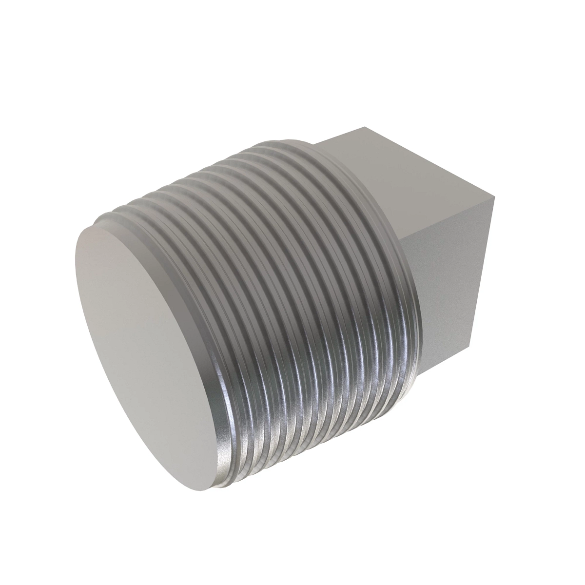 Fitting, Pipe Plug
