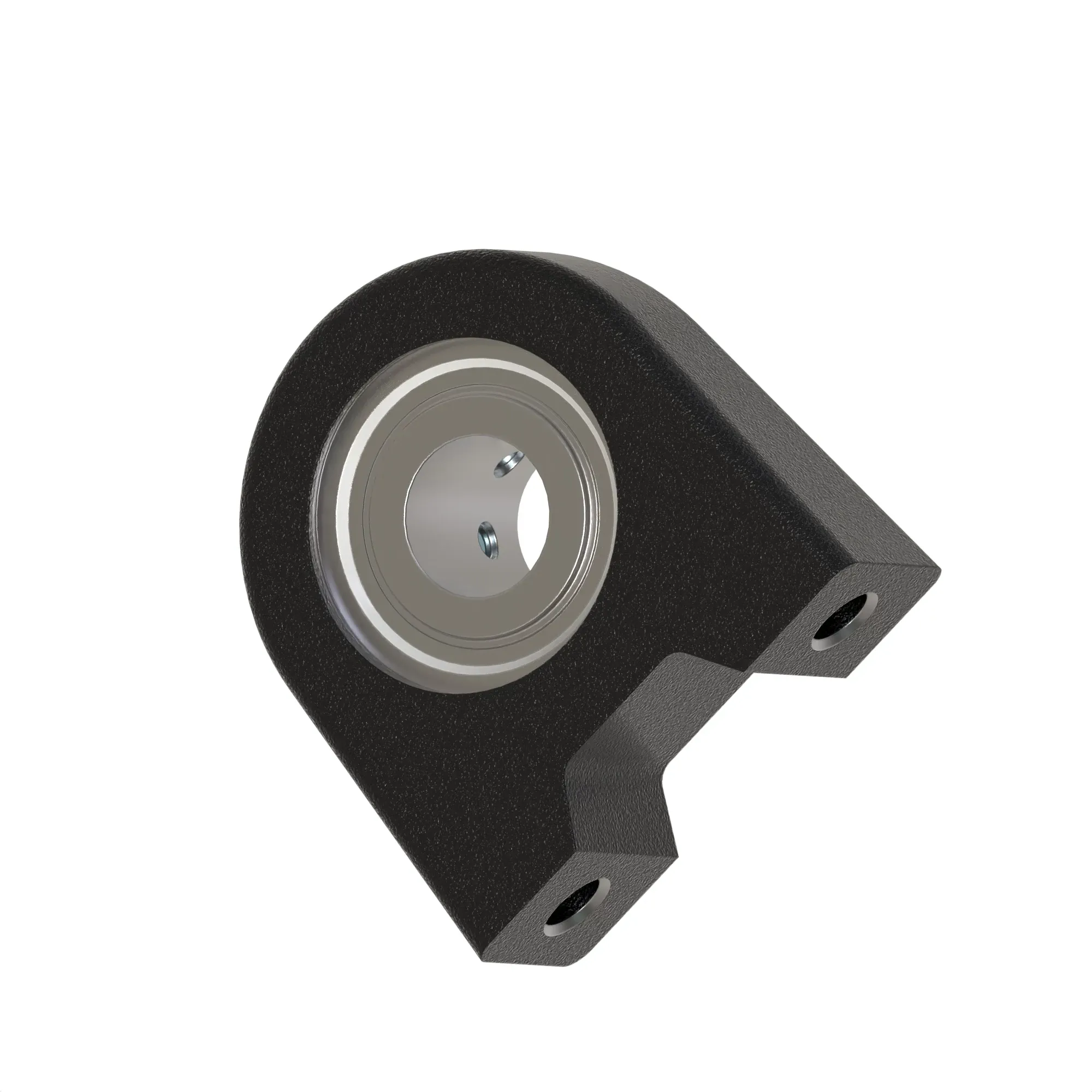 Bearing With Housing