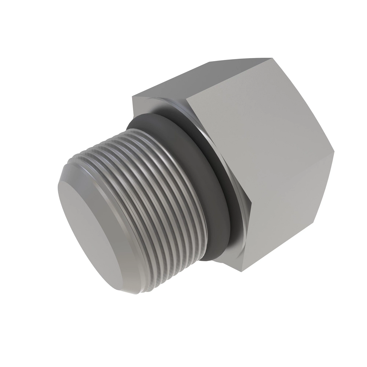 Fitting Plug