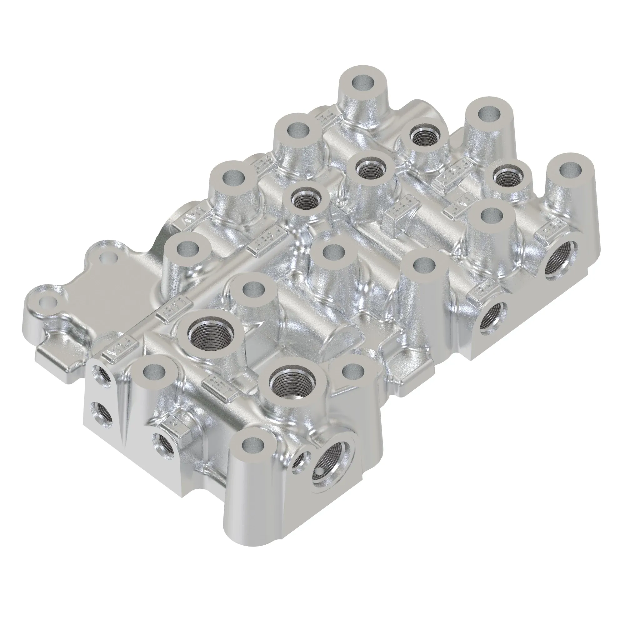 Manifold