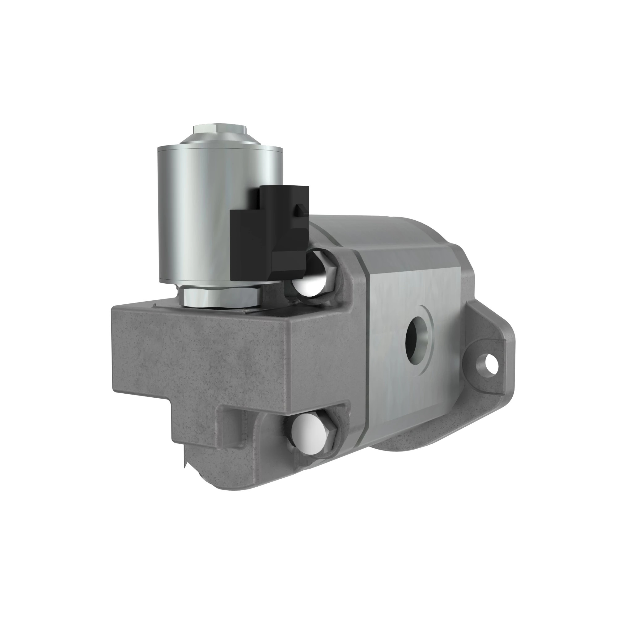 Hydraulic Motor