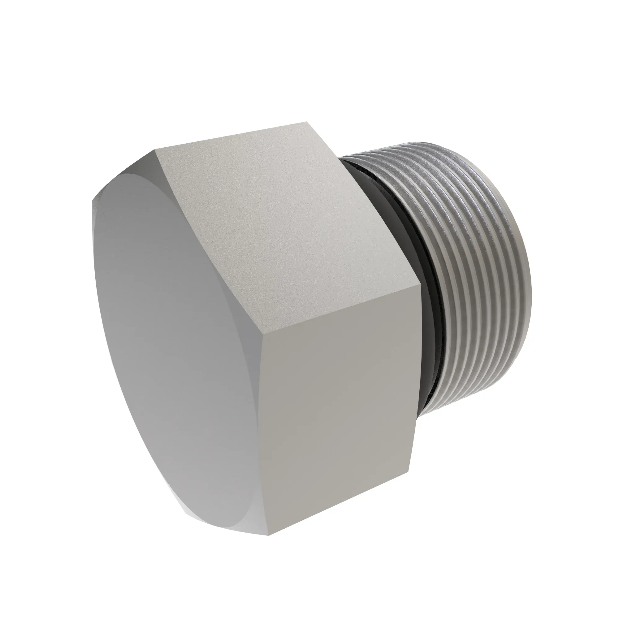 Fitting Plug