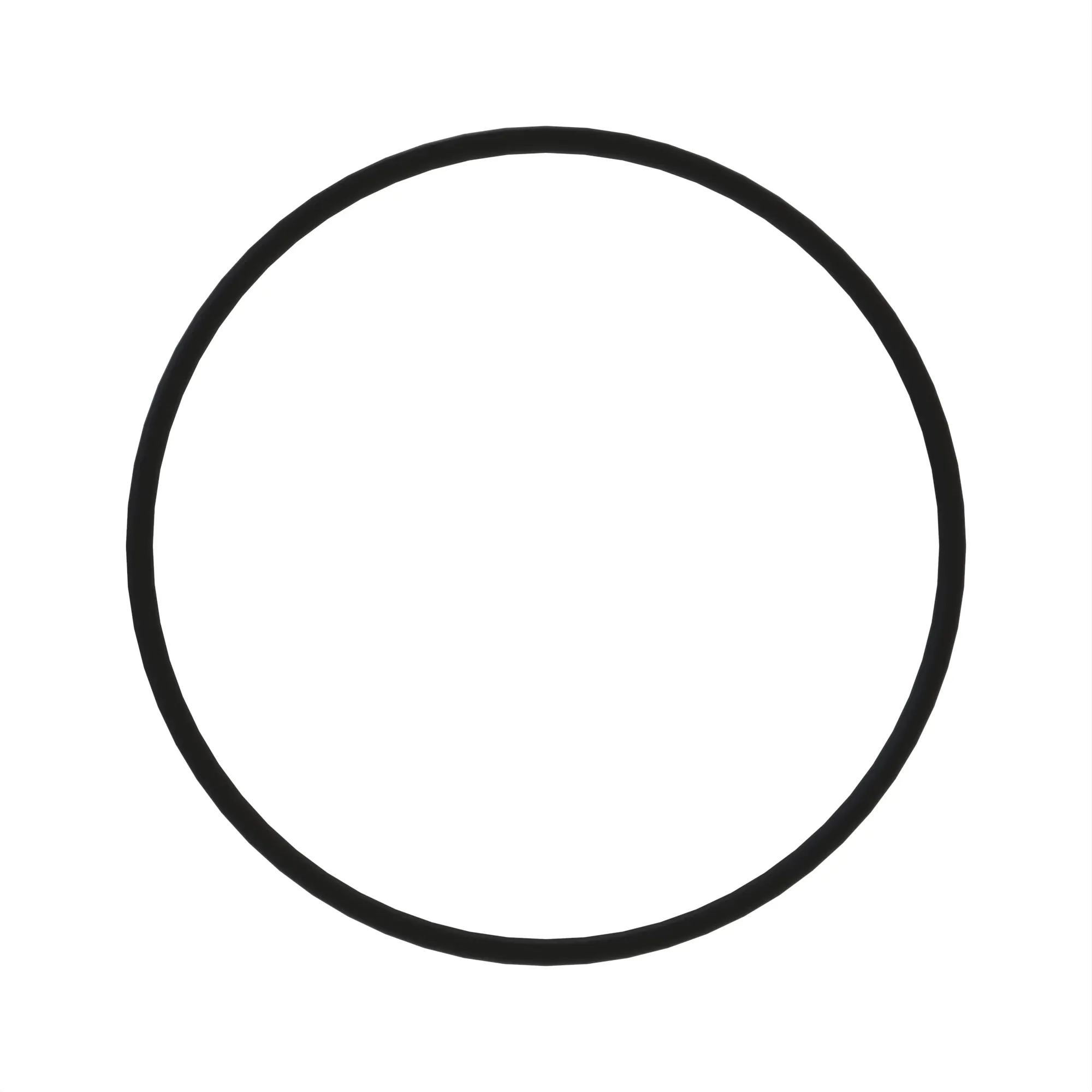 O-Ring