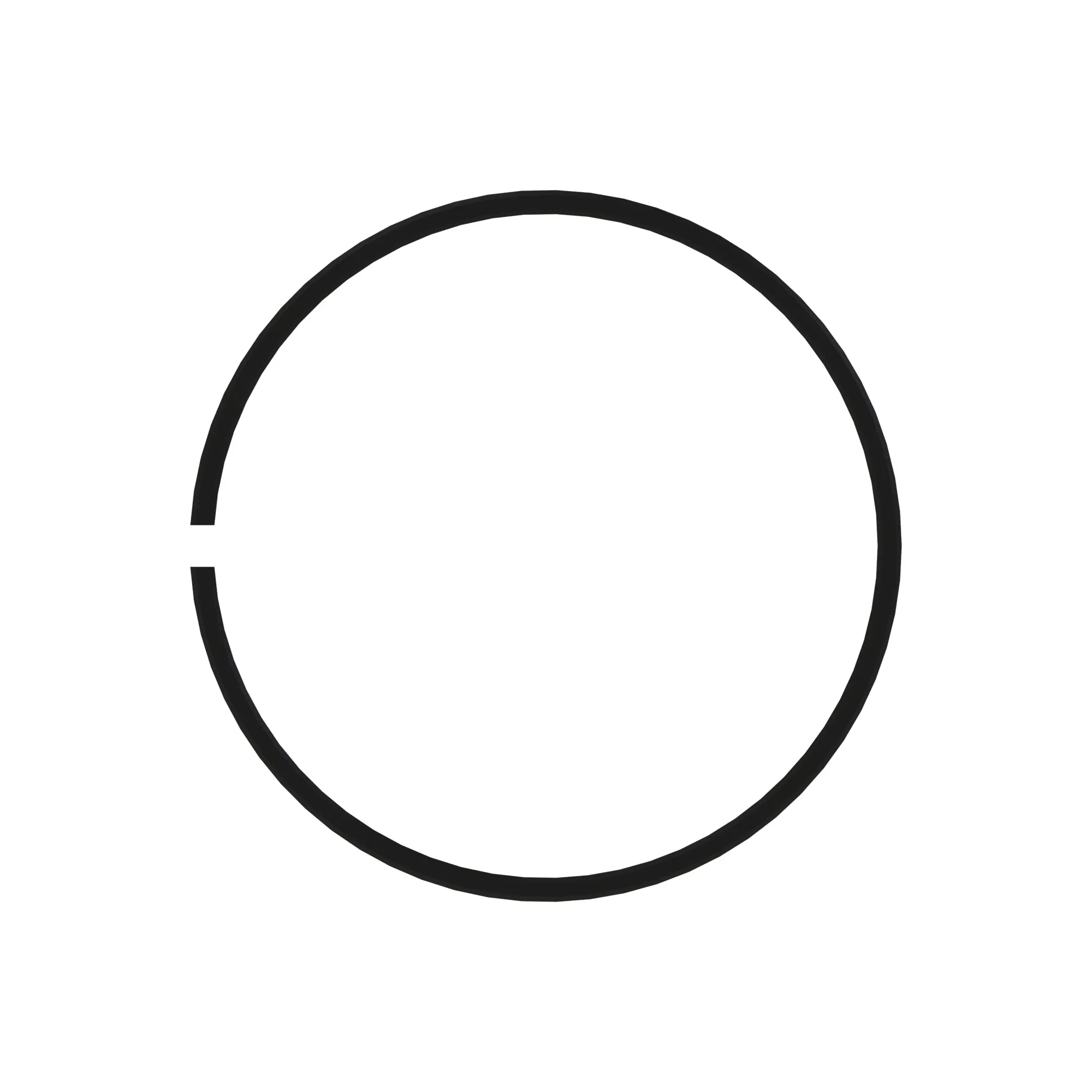 Wear Ring