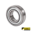 Sunbelt Single Row Cylindrical Ball Bearing - A-B1GH25