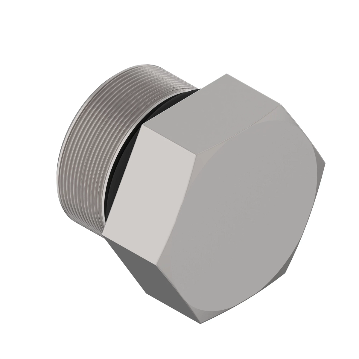 Fitting Plug
