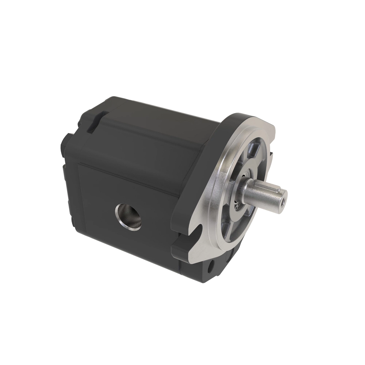 Pump, Gear Motor 19, 2-Cc/230B.Bspp