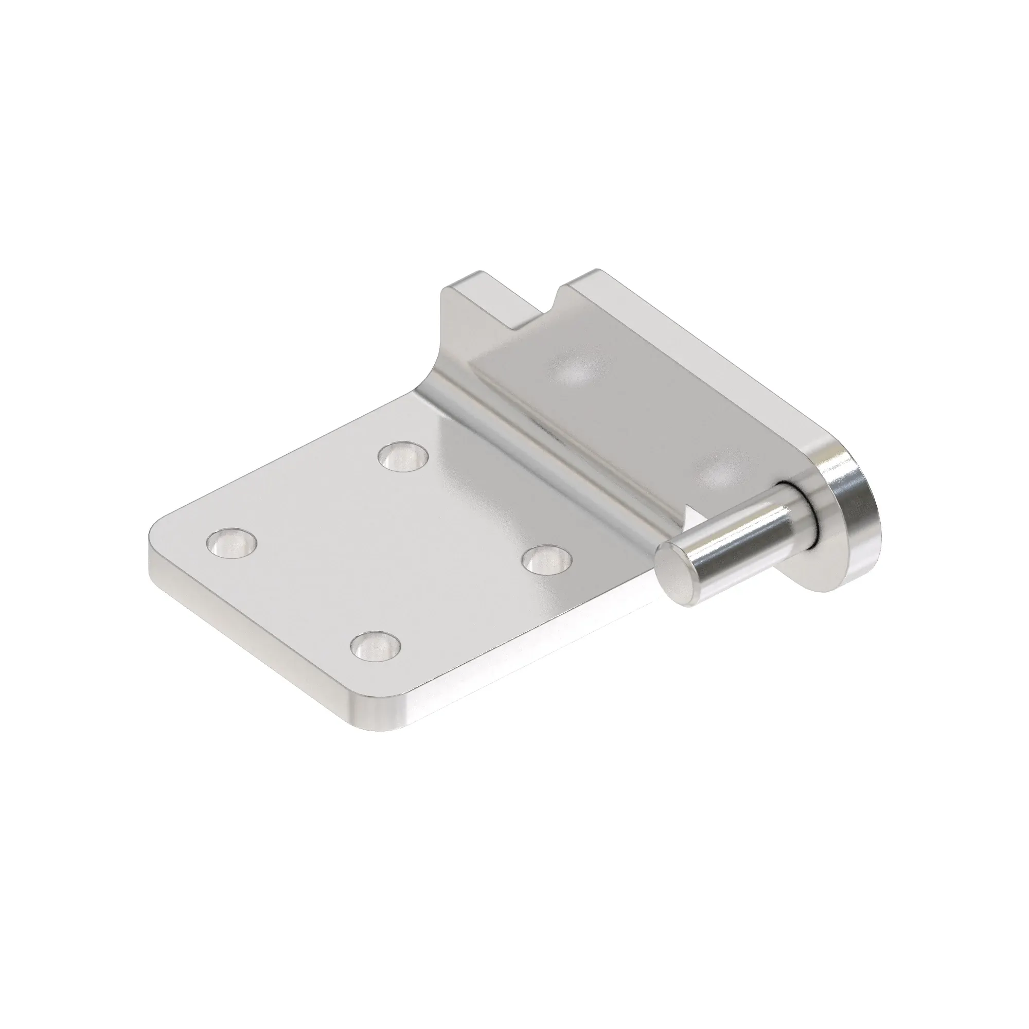 HINGE, LOWER RS DOOR