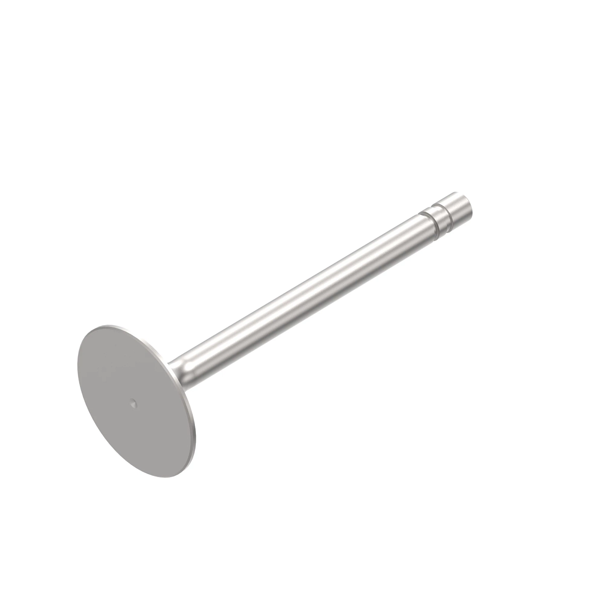 Intake Valve