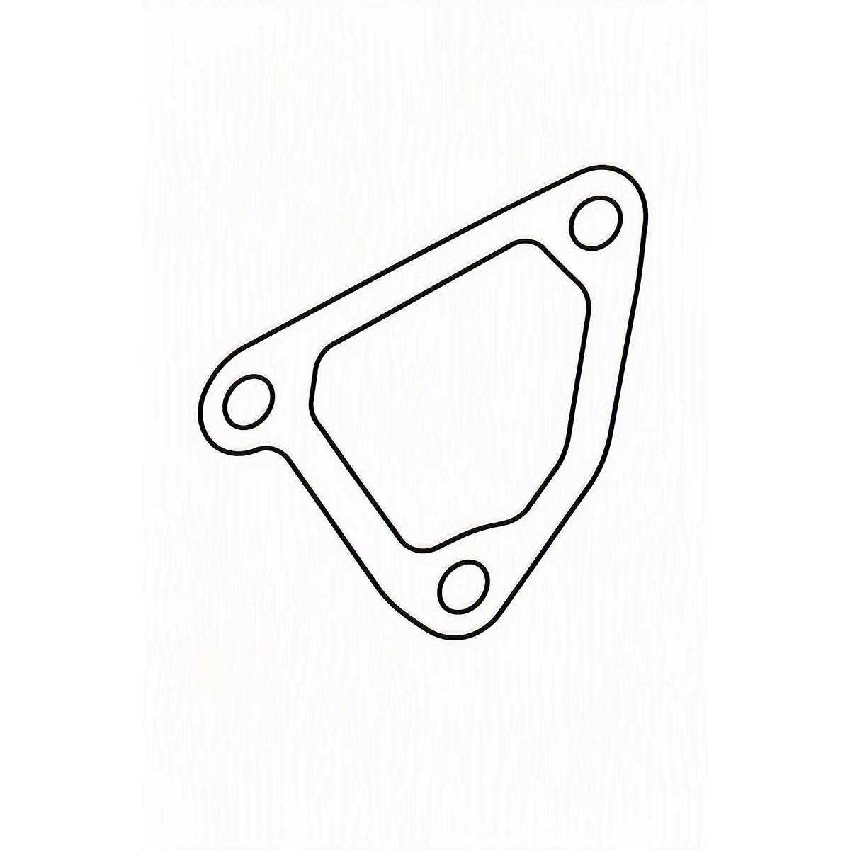 Gasket, Case