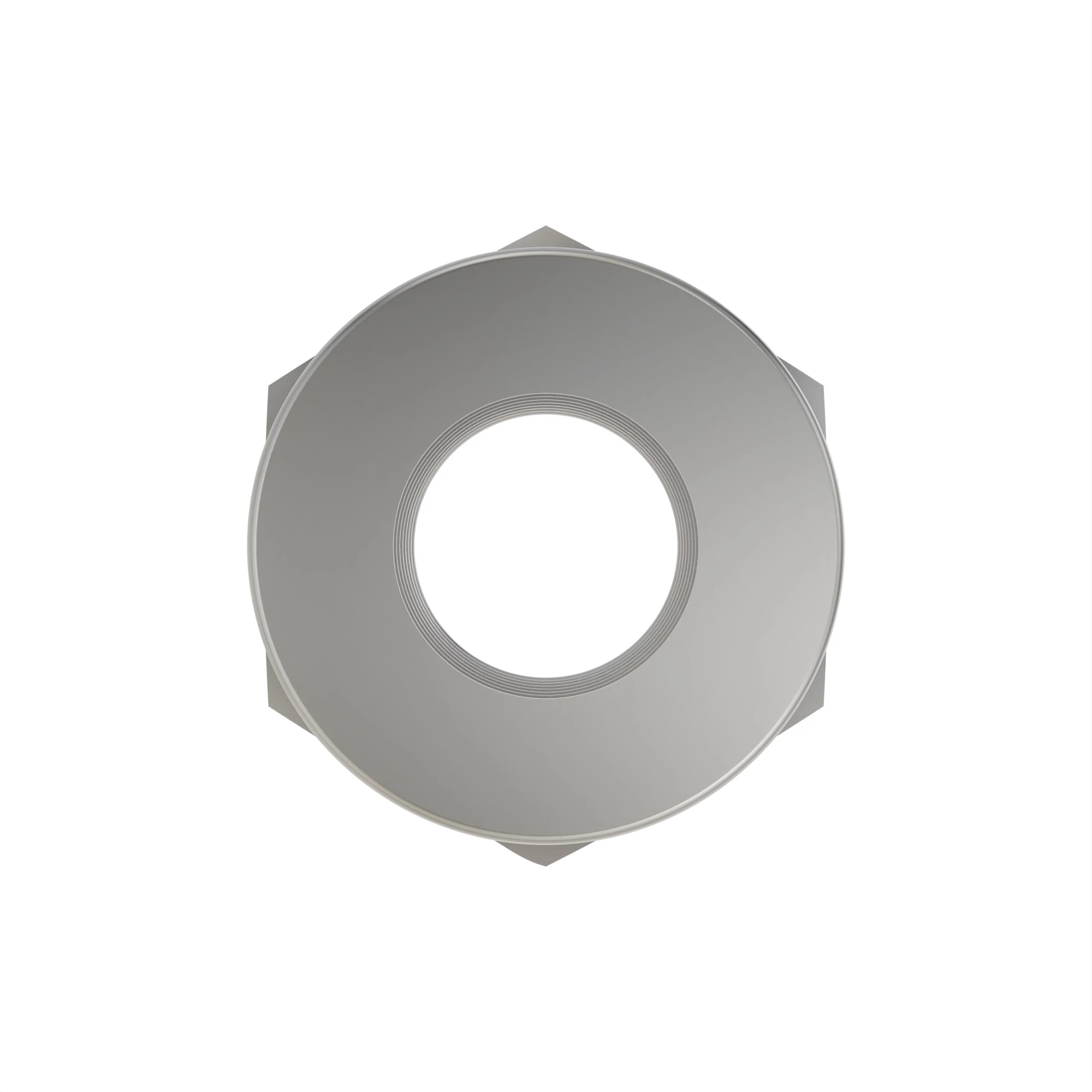 L32843: Hexagonal Stake Nut, M28.6