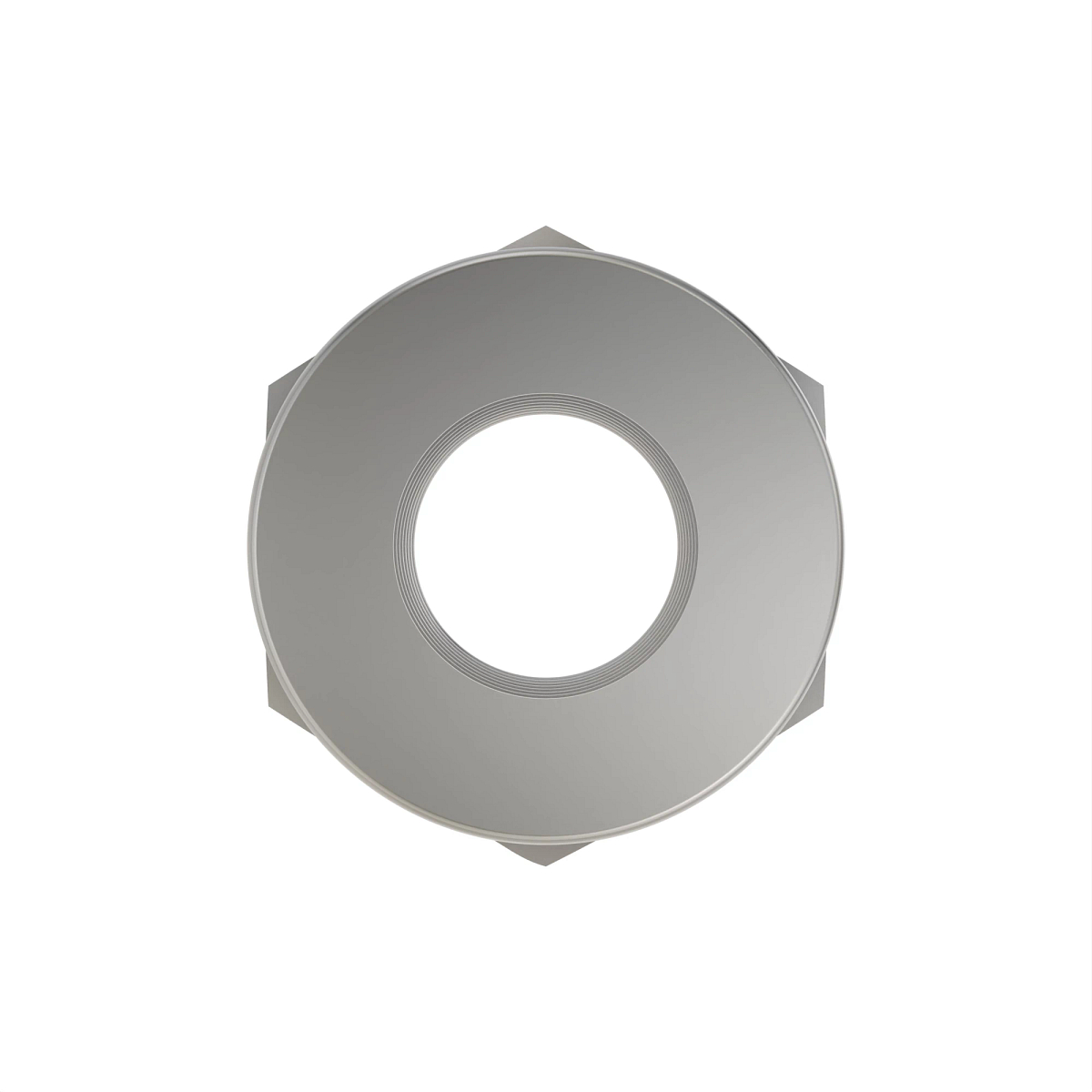 L32843: Hexagonal Stake Nut, M28.6
