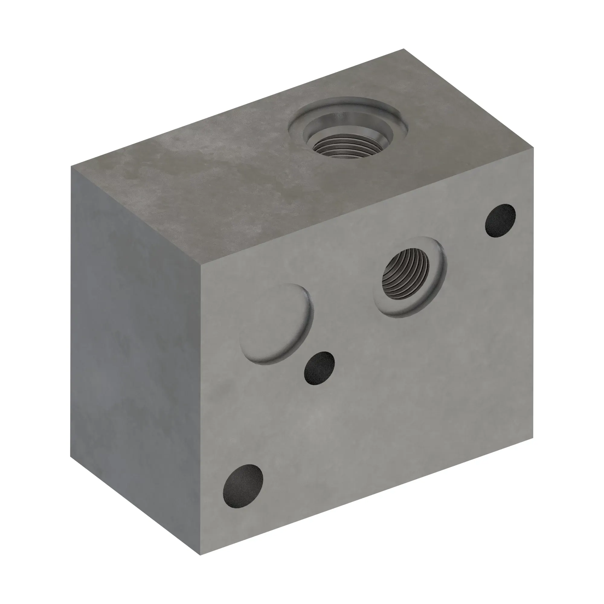 Manifold