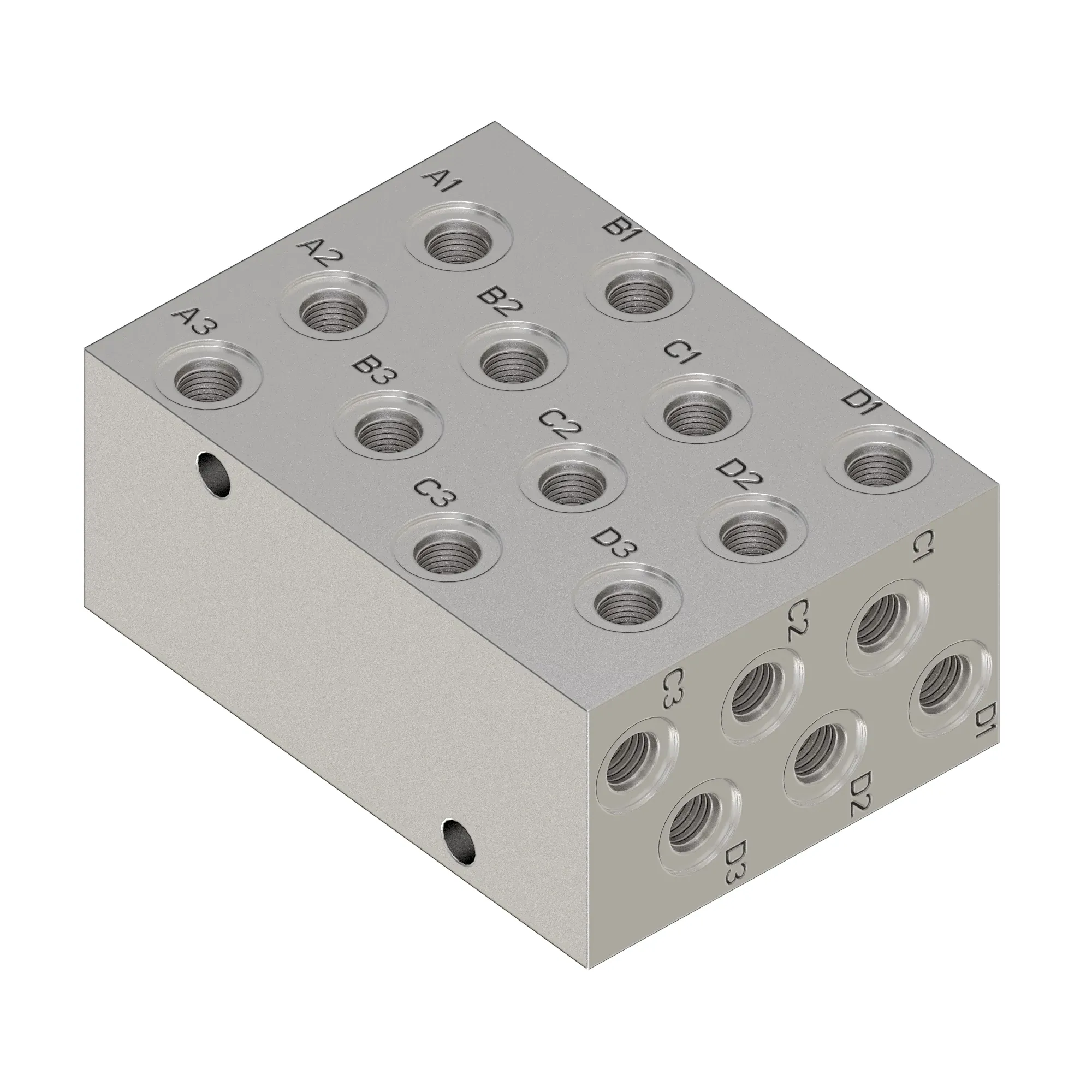 Manifold