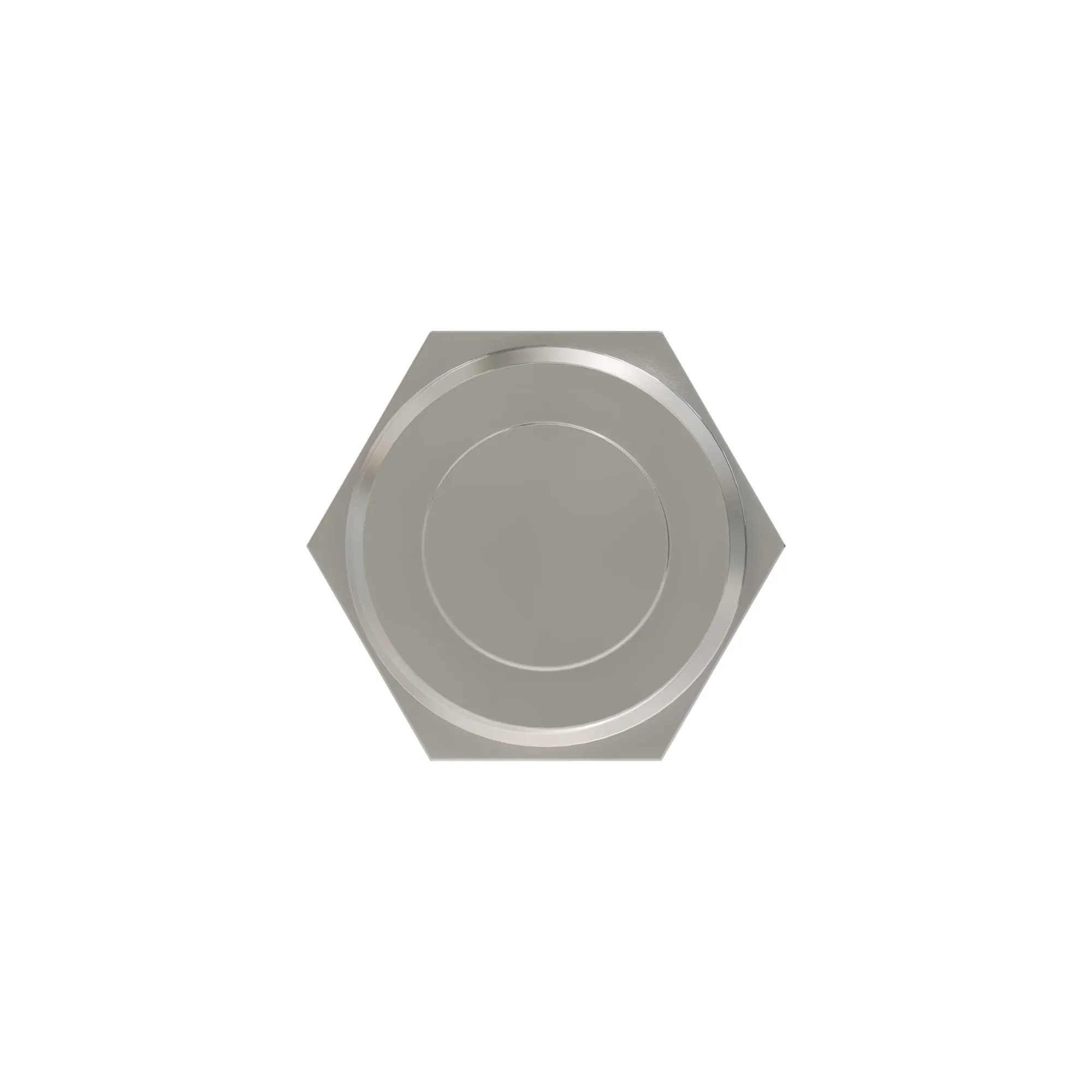 Check Valve