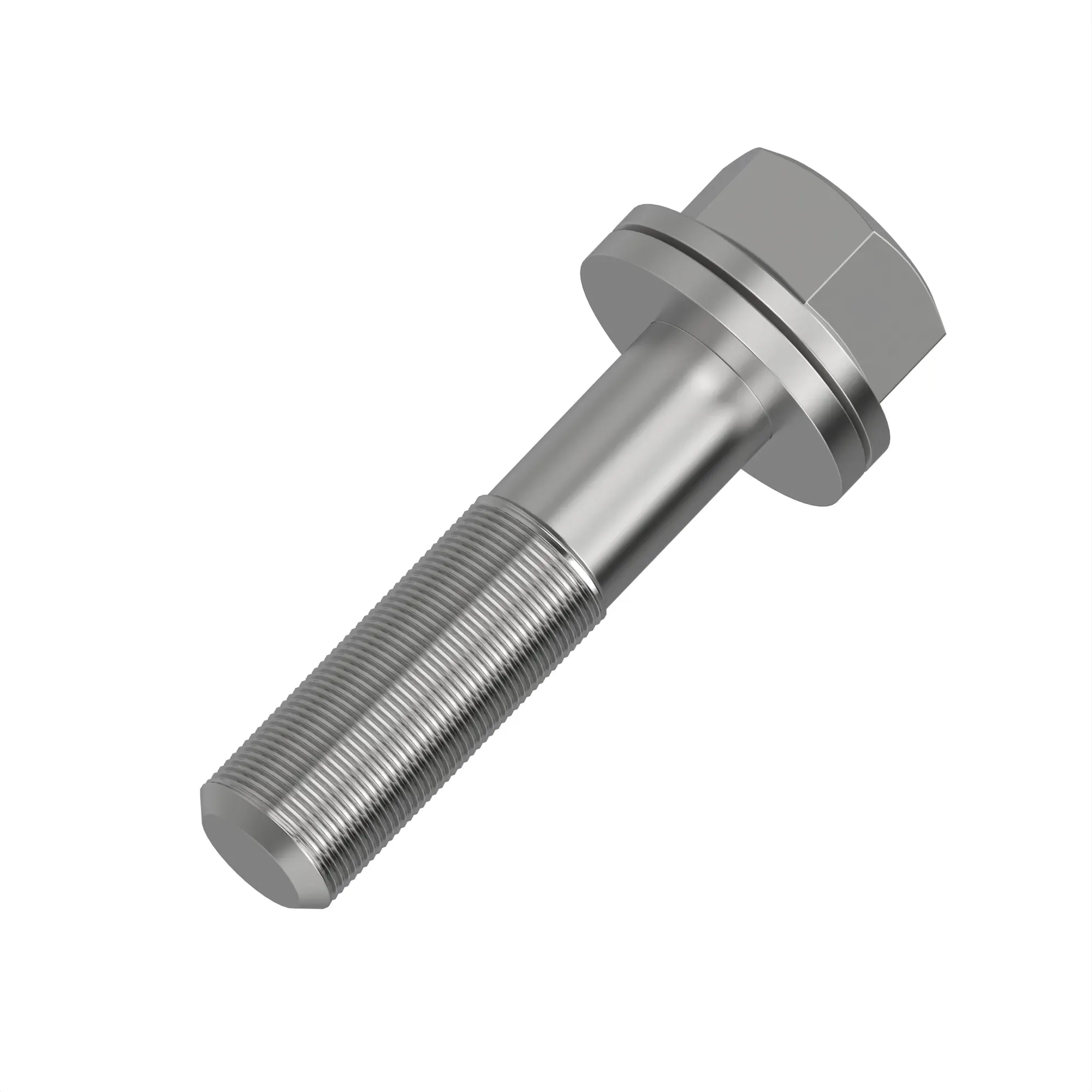 Screw With Washer