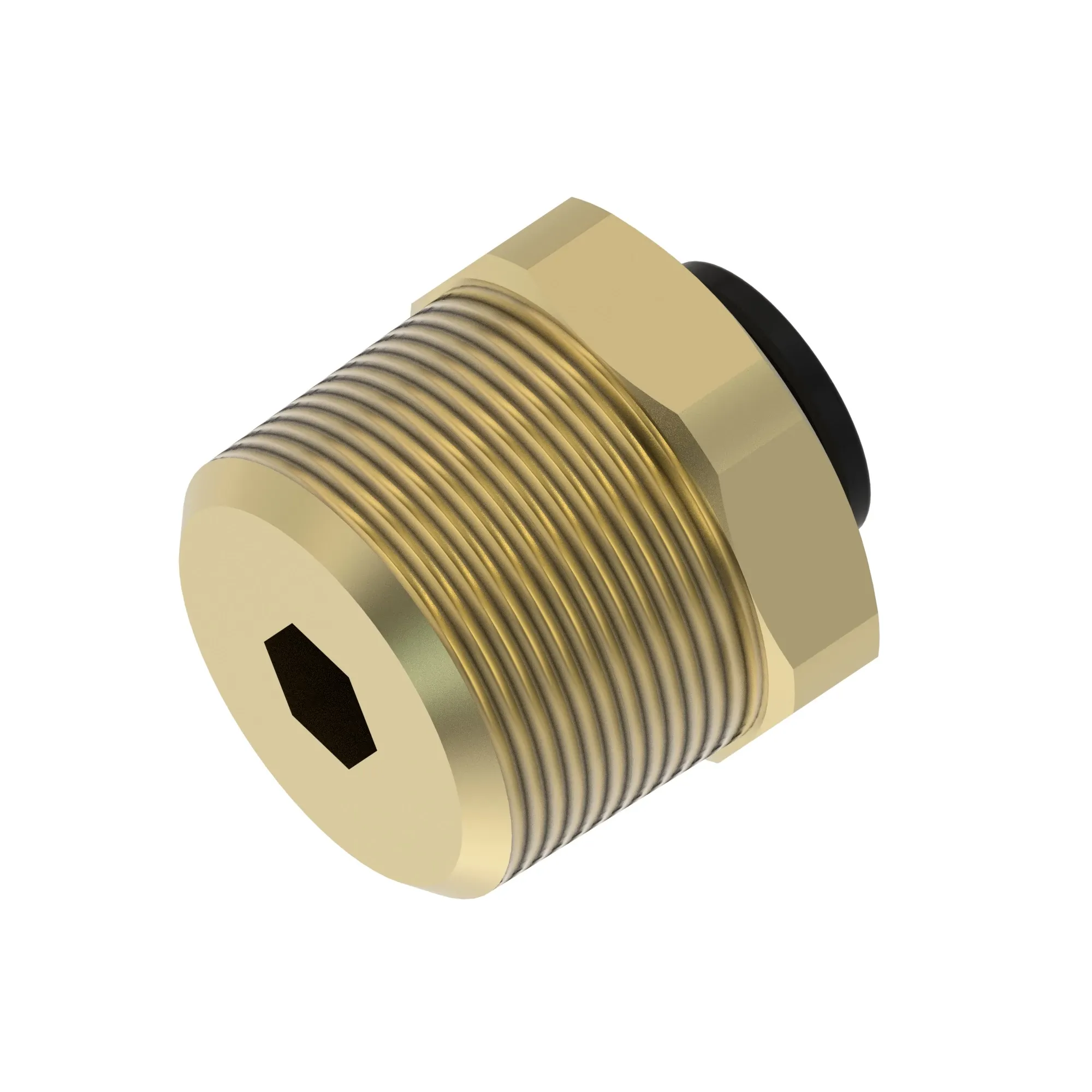 Hose Fitting