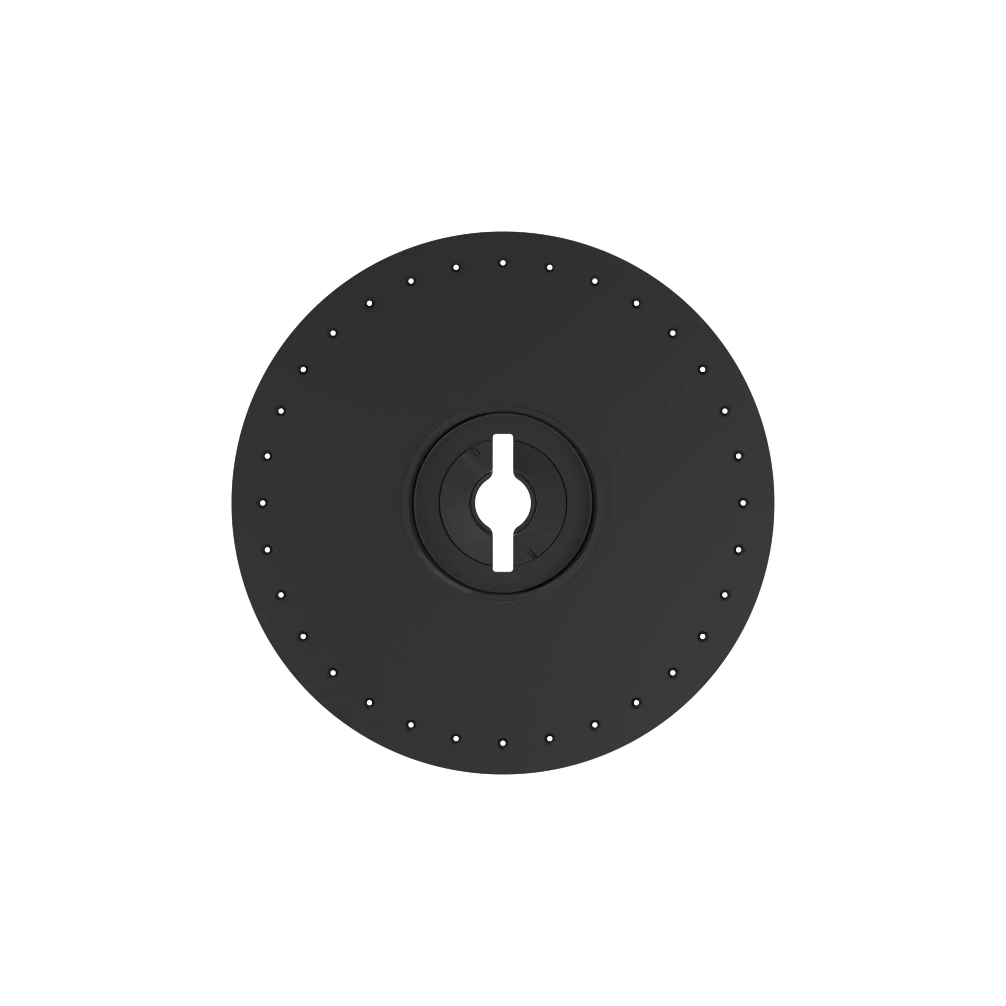 Disk