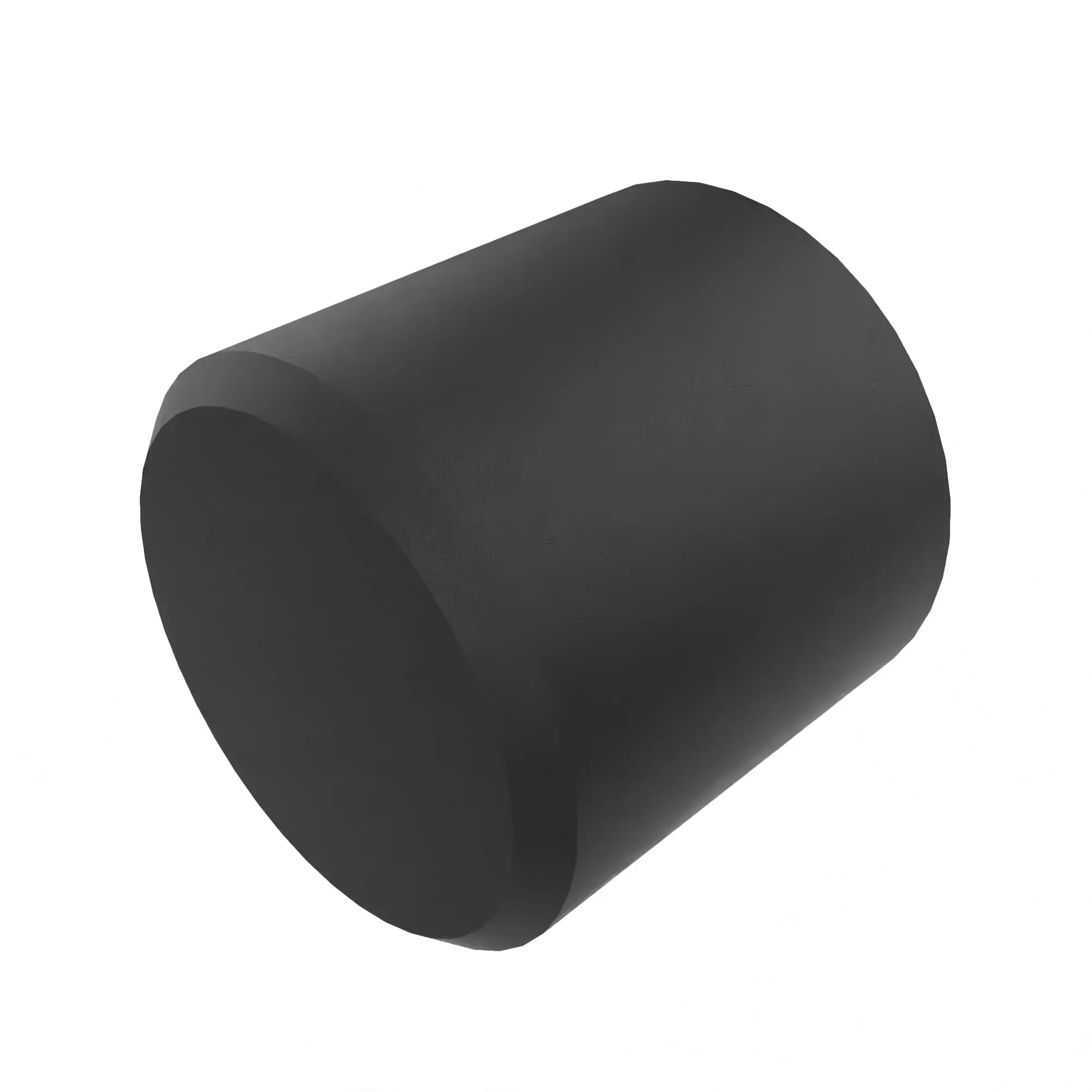 Fitting Plug