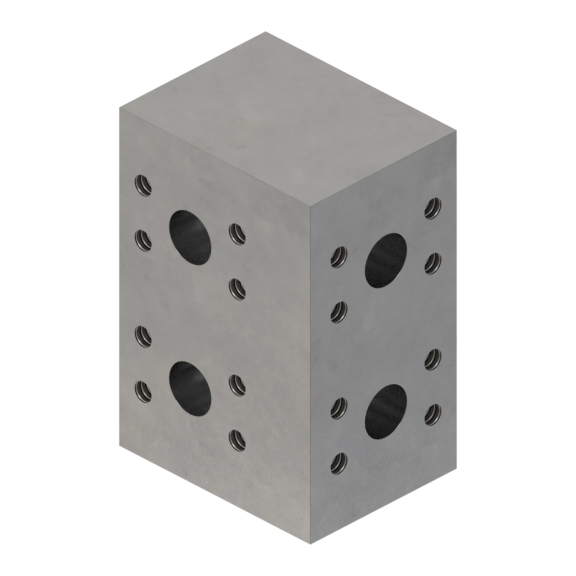 Manifold